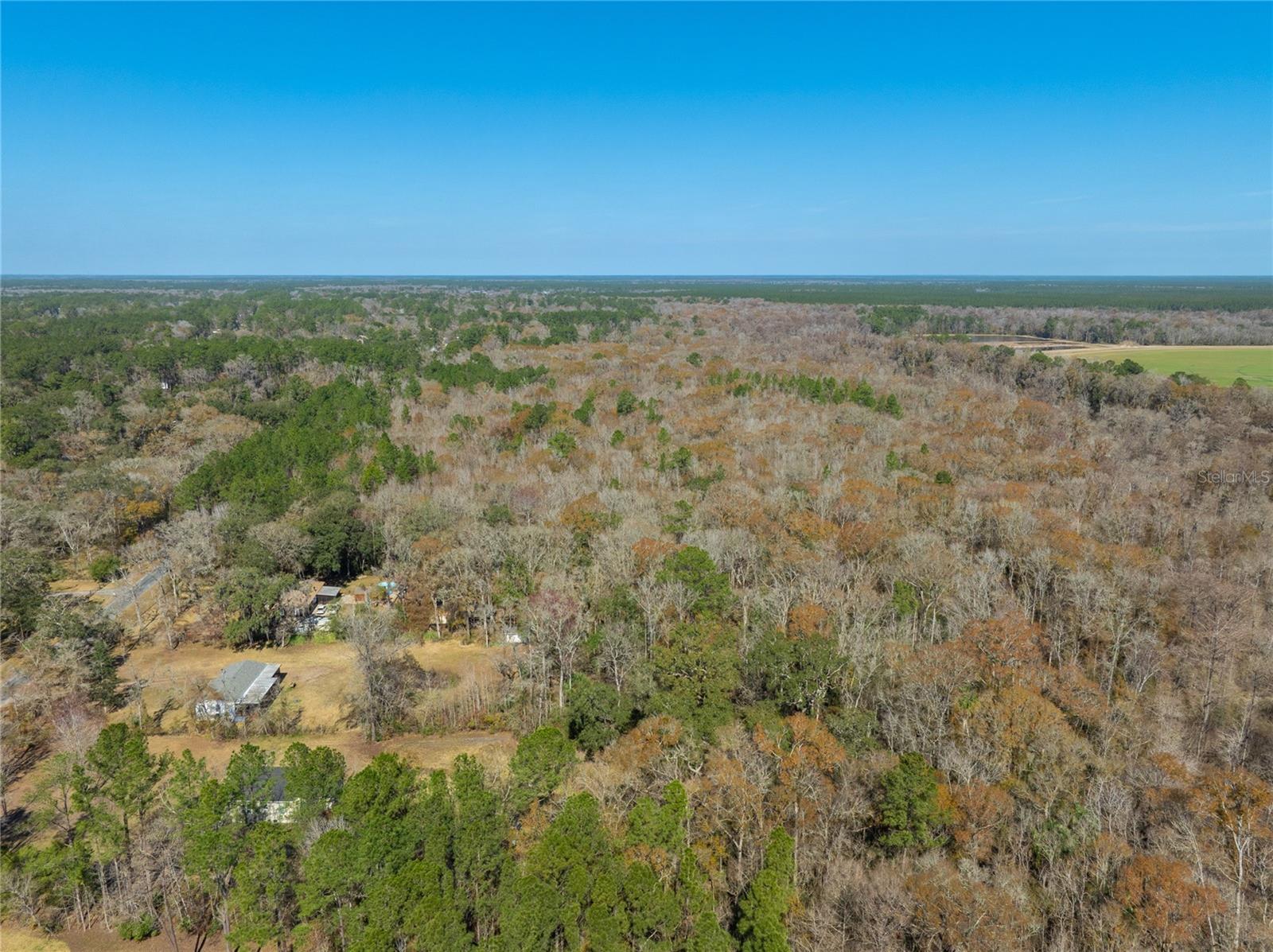 Image 5 of 31 For Fouracre Circle