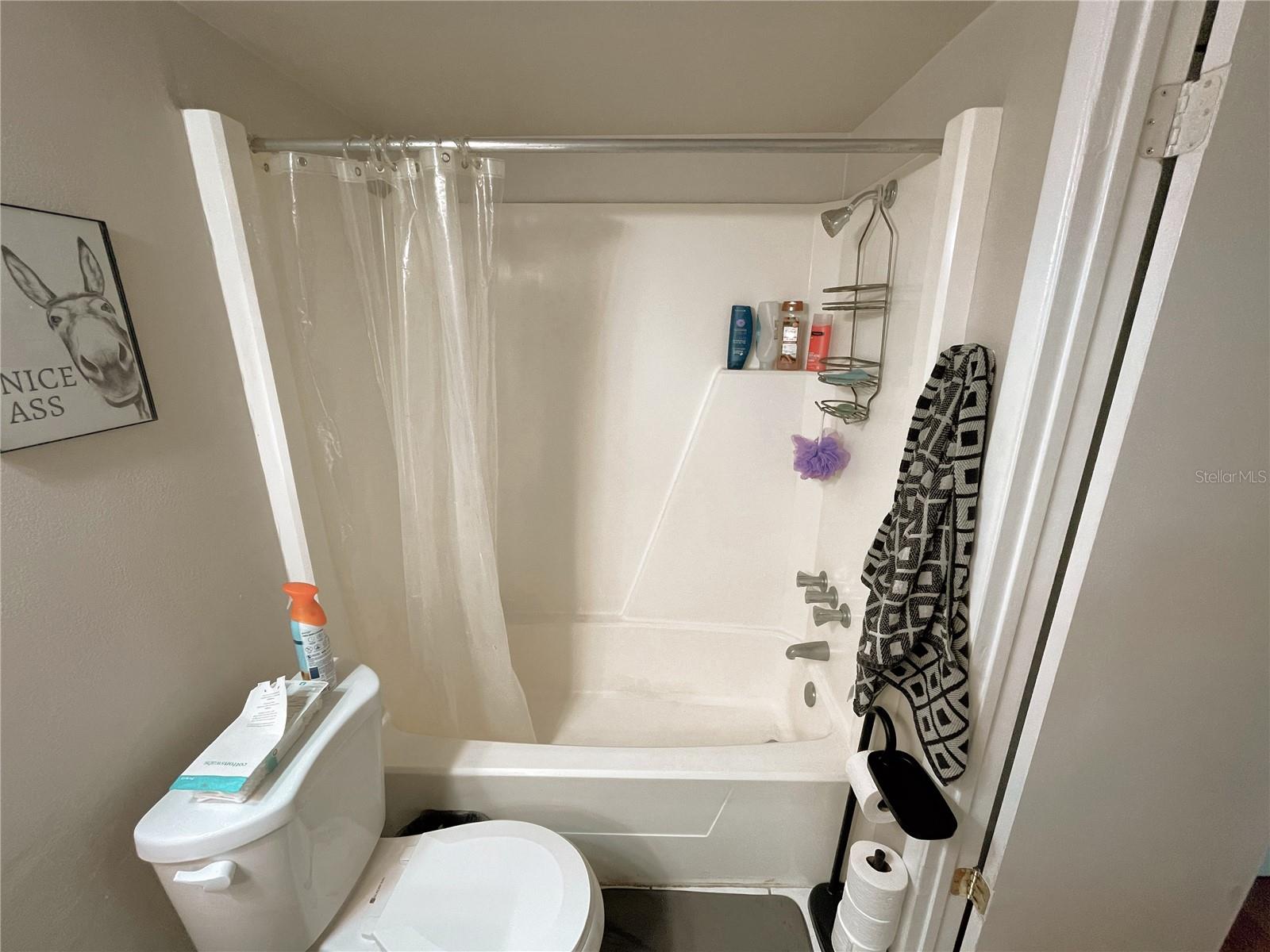 Image 24 of 37 For 2207 Belleair Road B11