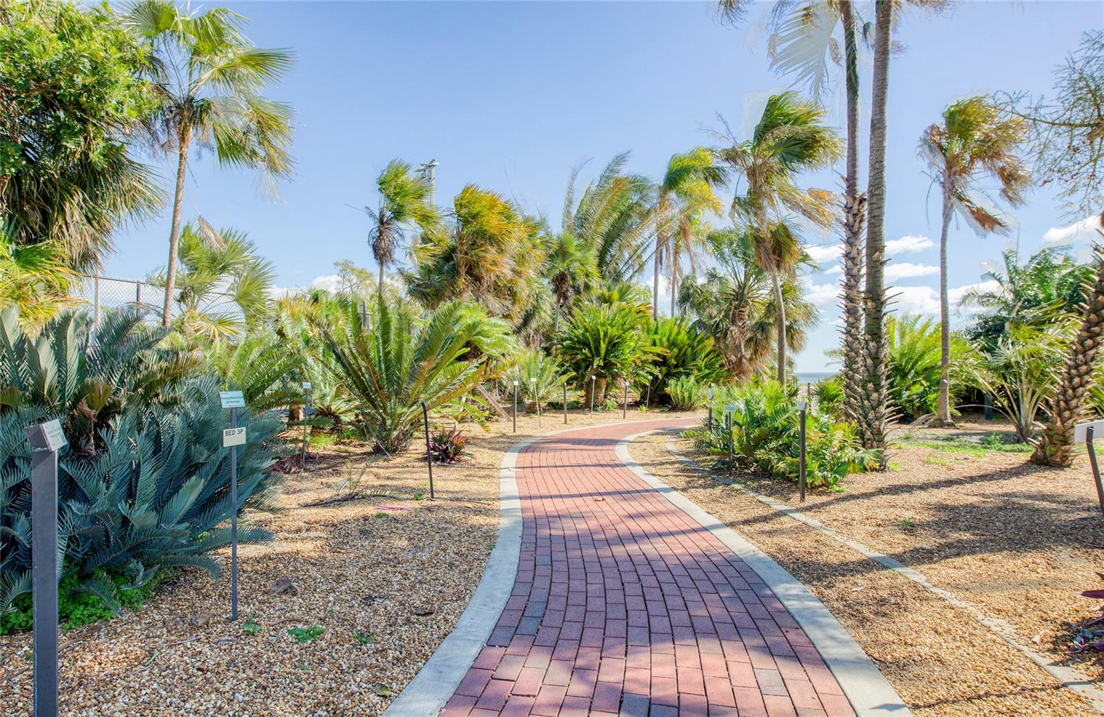 Image 43 of 48 For 700 Beach Drive Ne 406