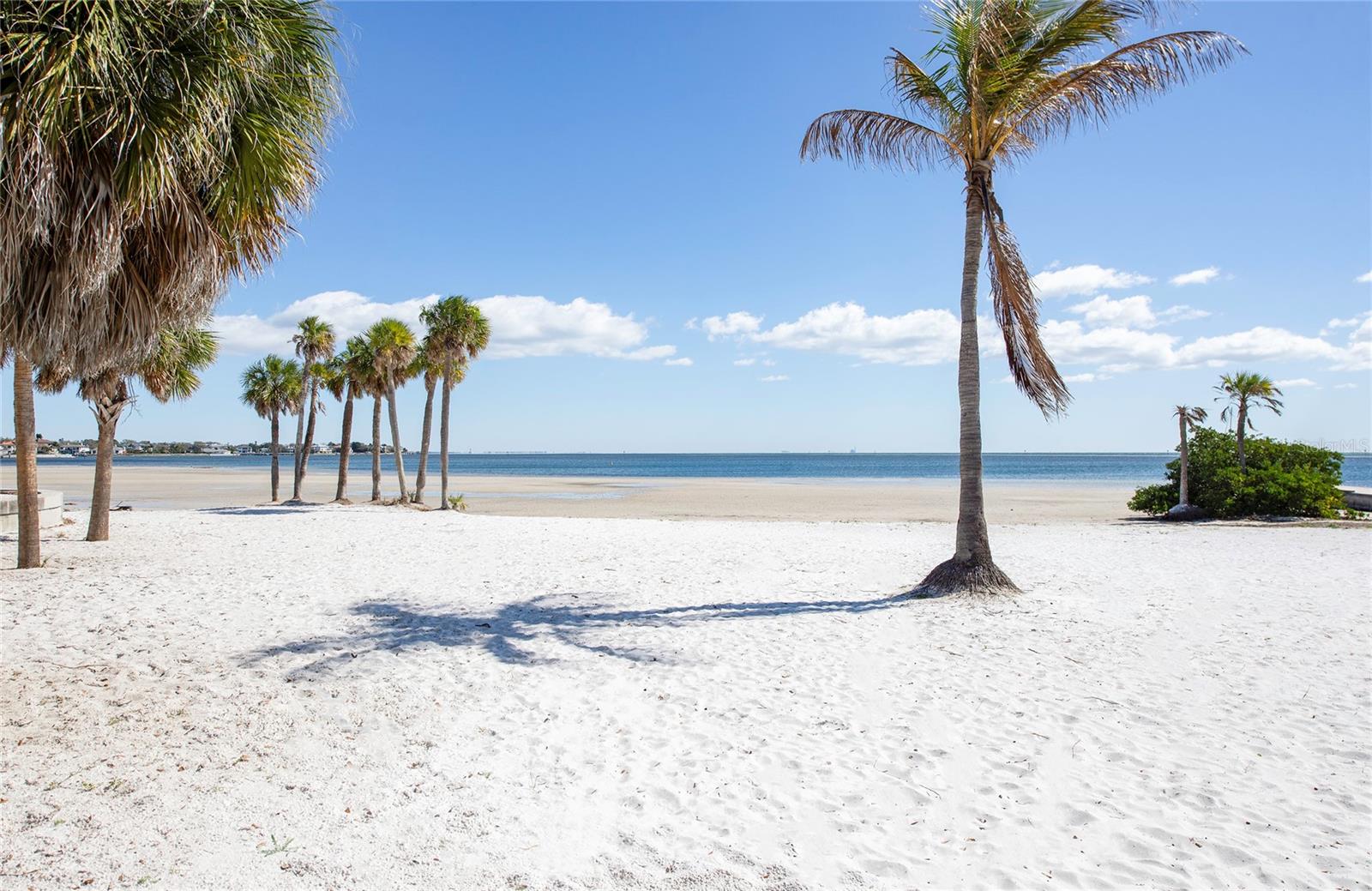 Image 45 of 48 For 700 Beach Drive Ne 406