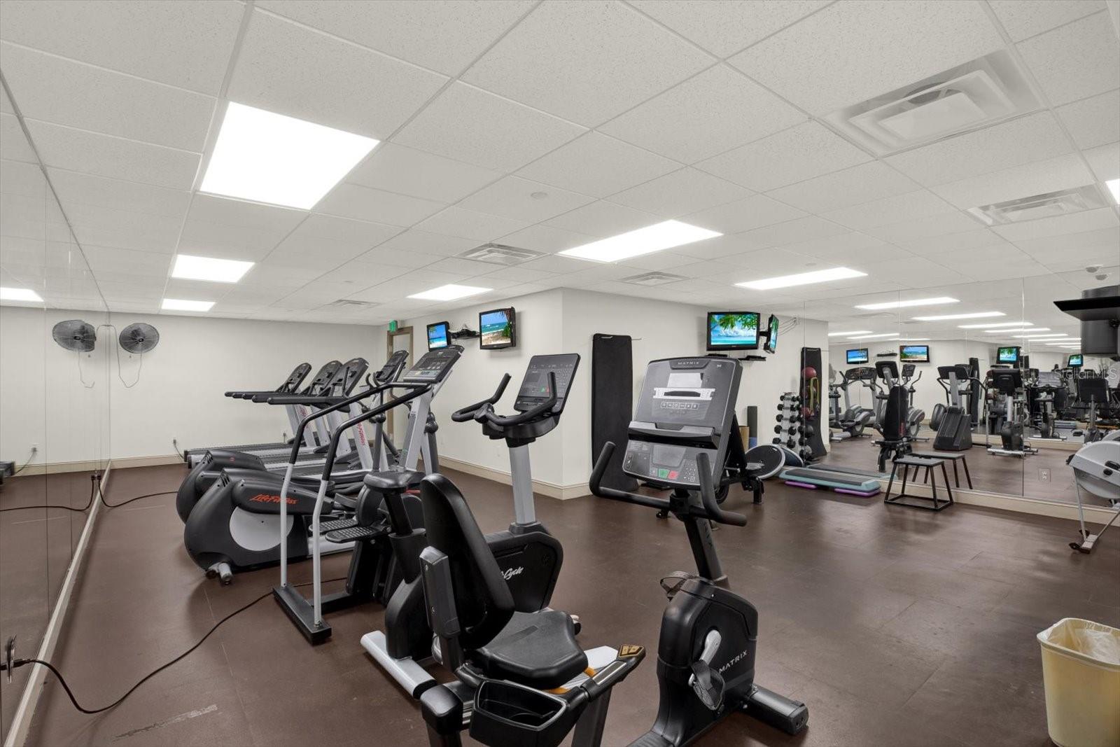 Image 38 of 44 For 345 Bayshore Boulevard 302