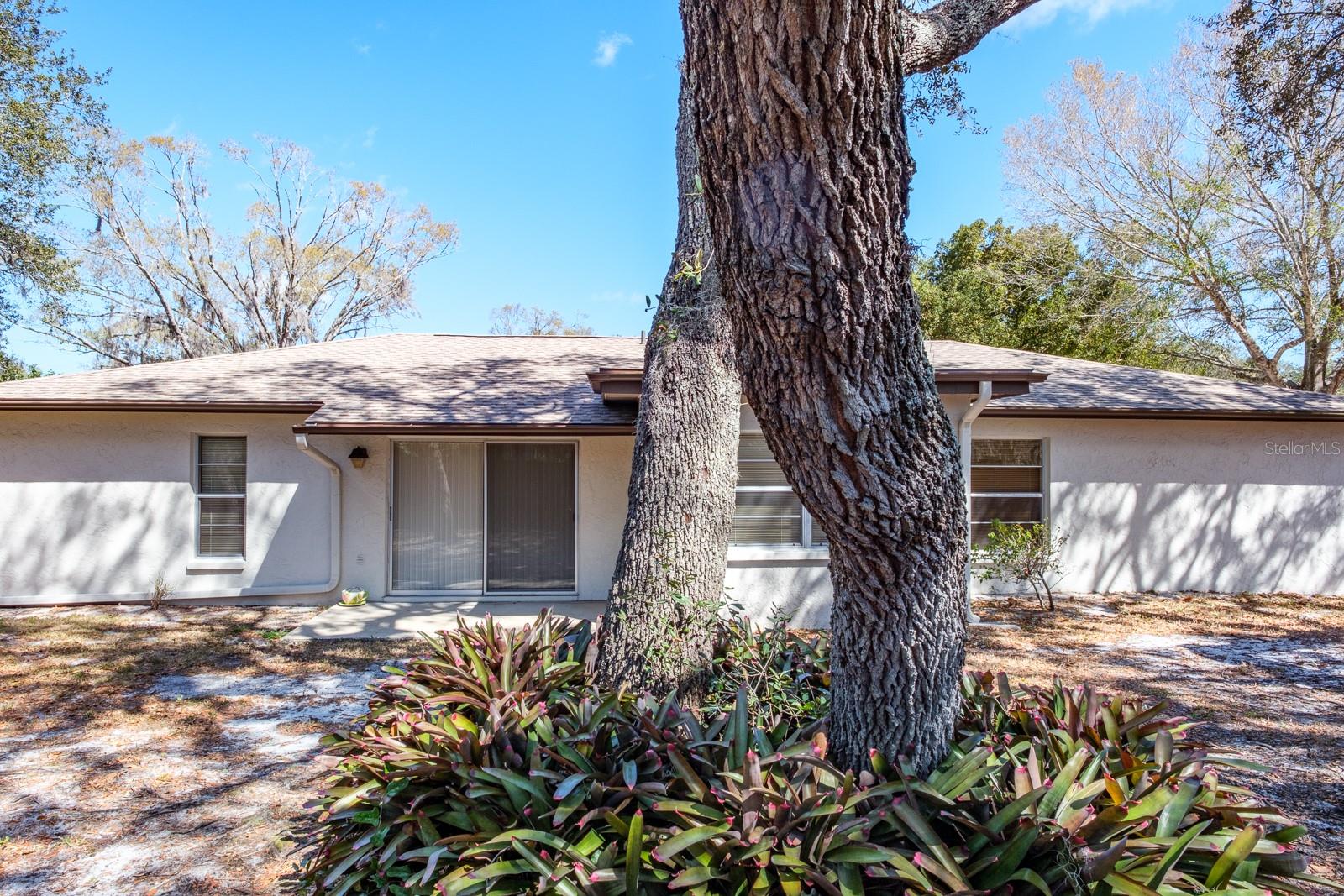 Image 9 of 72 For 2860 Longleaf Lane