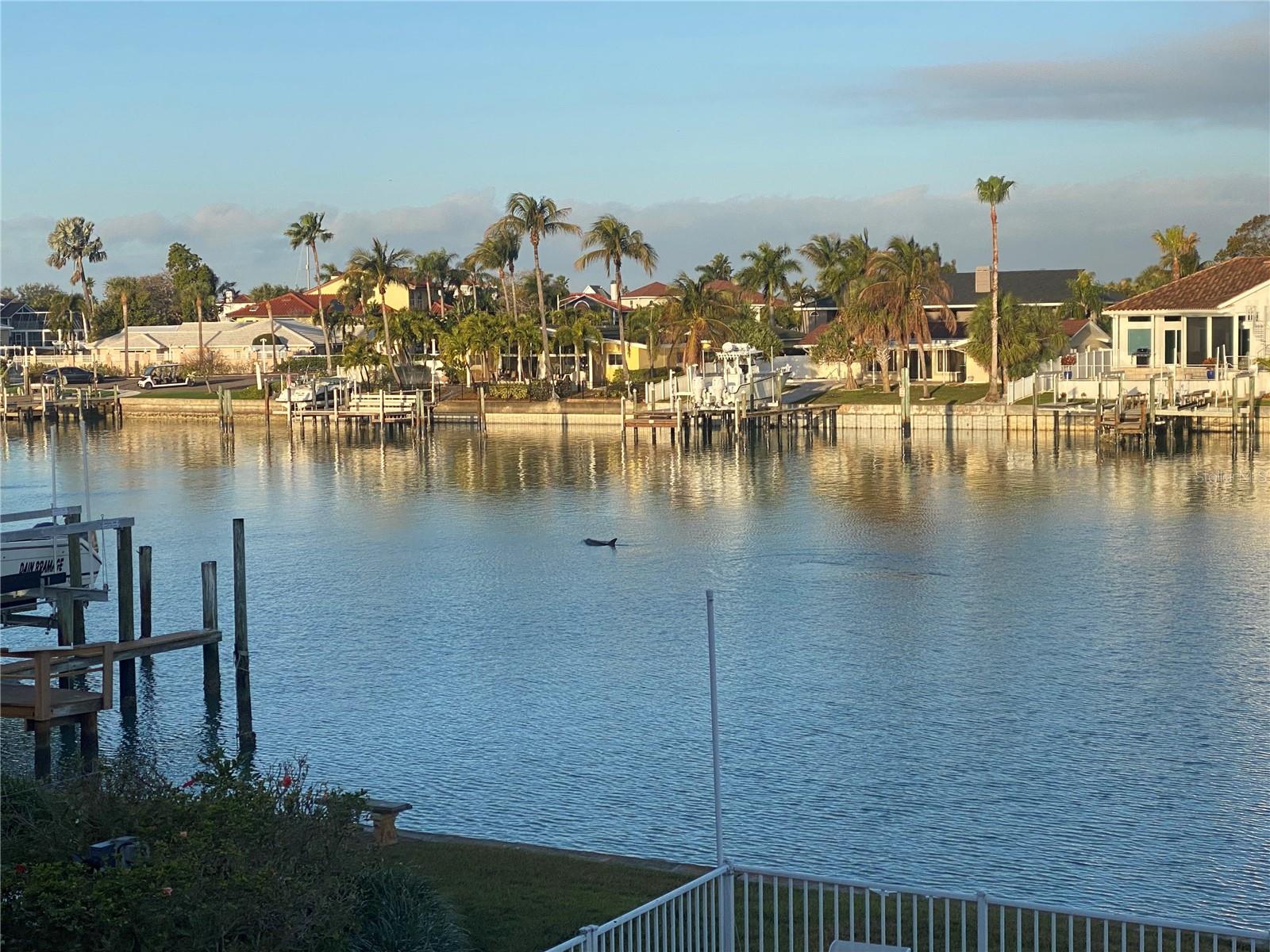 Image 58 of 58 For 340 Pinellas Bayway S 206