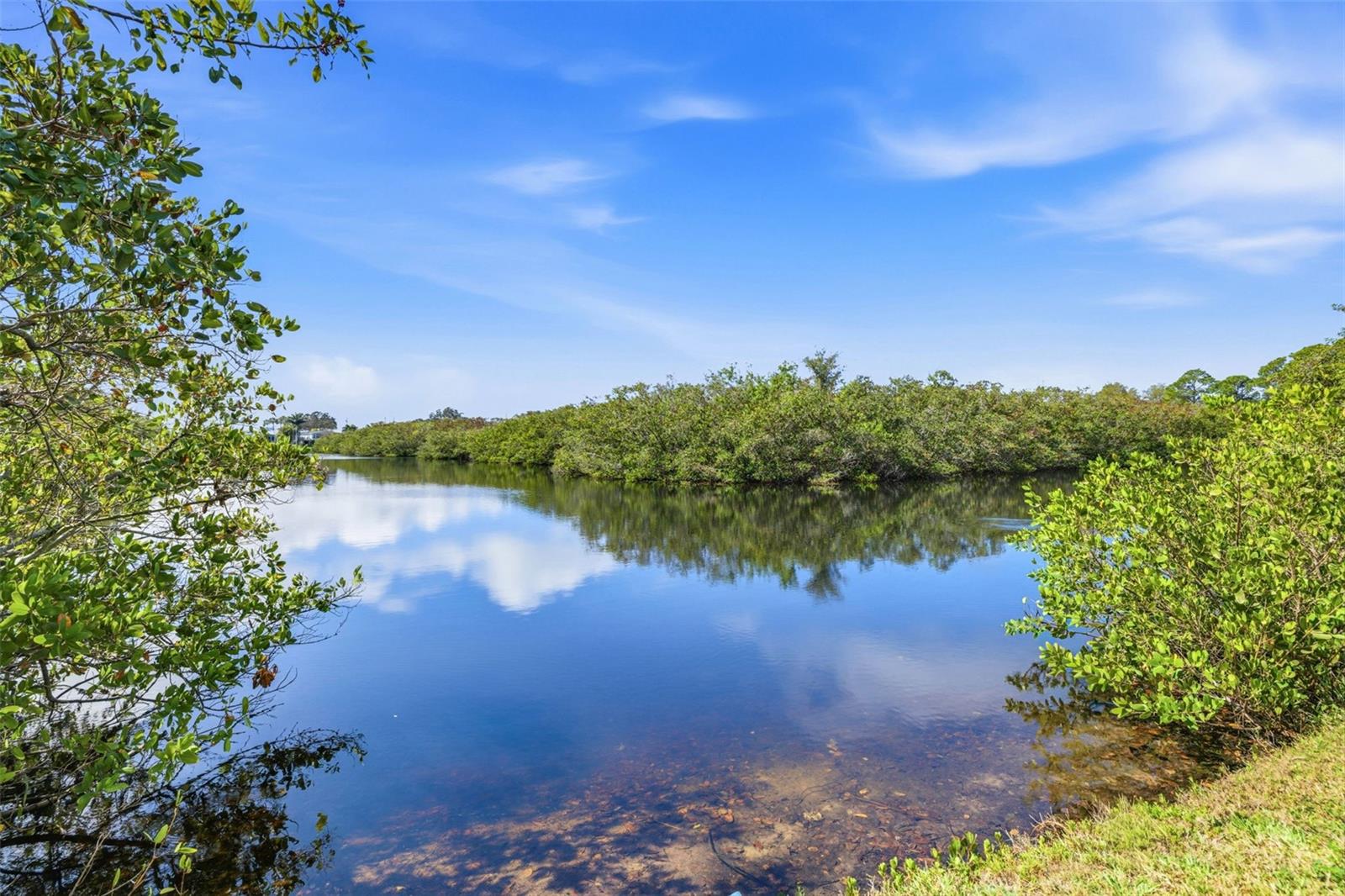 Image 24 of 45 For 455 Alt 19 S 163