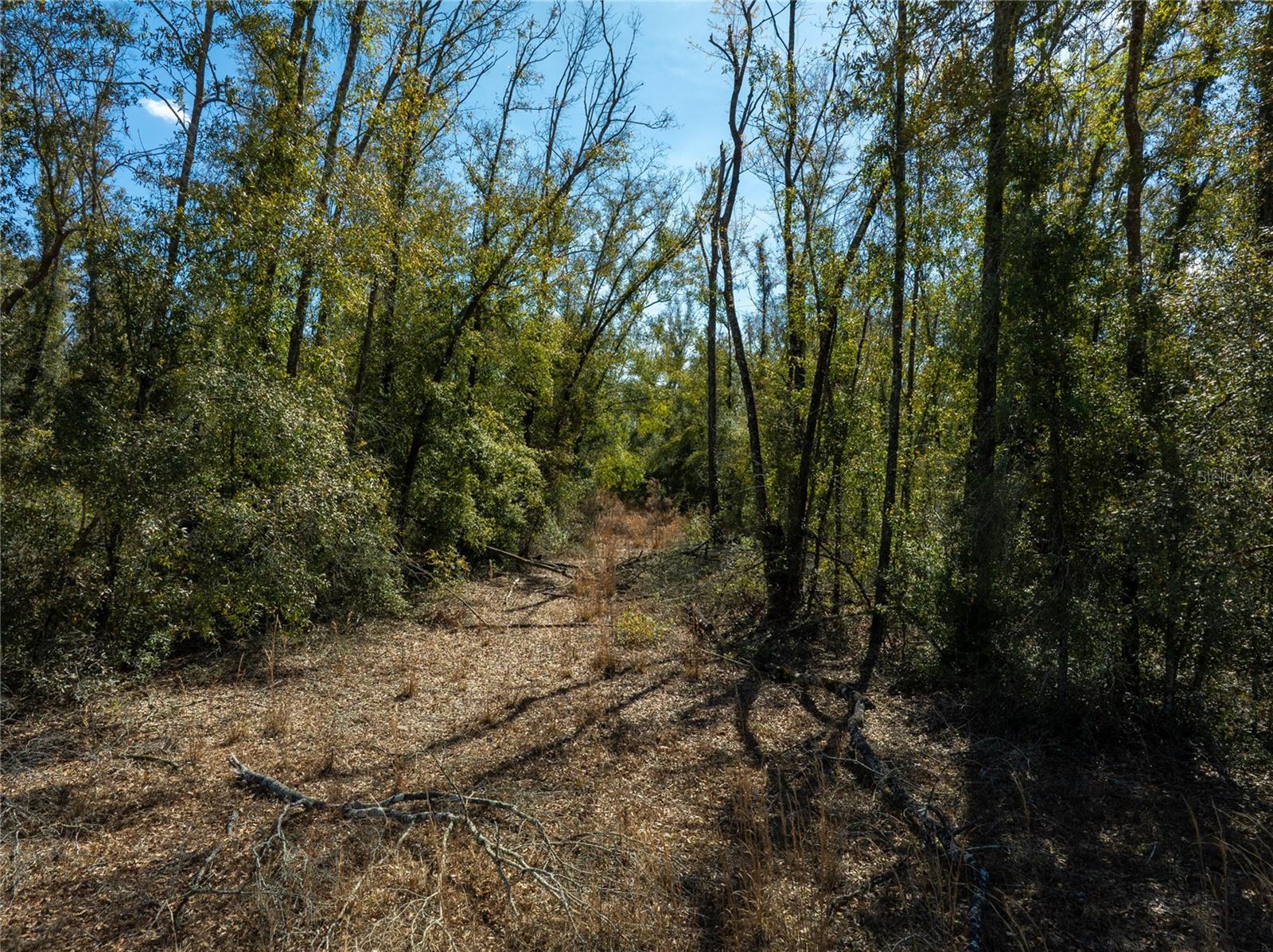 Image 20 of 26 For Address Not Provided