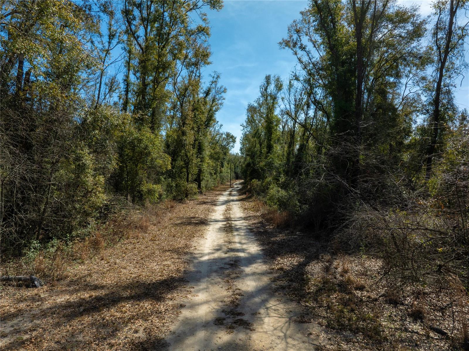 Image 24 of 26 For Address Not Provided