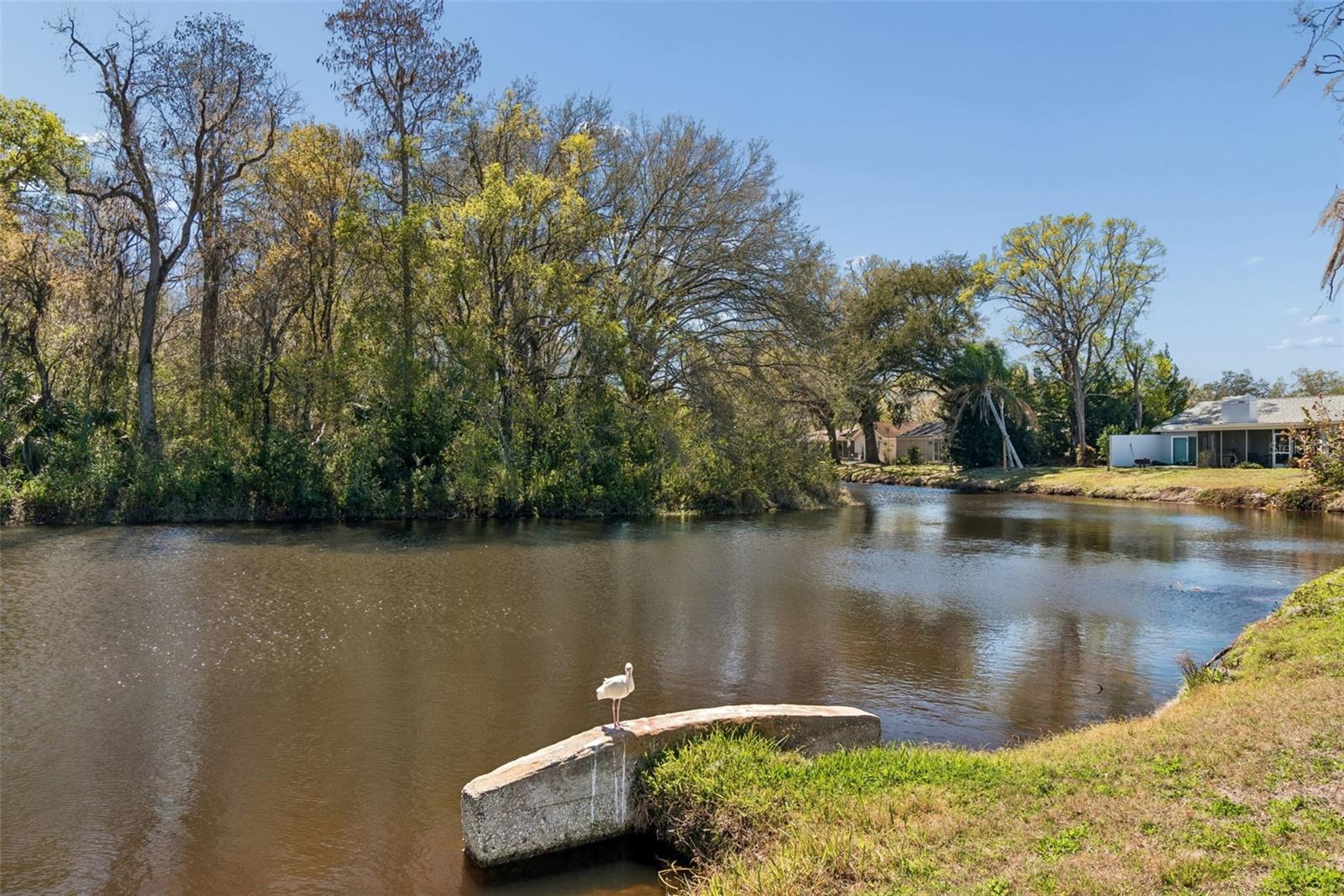 Image 56 of 74 For 9930 Nicklaus Drive