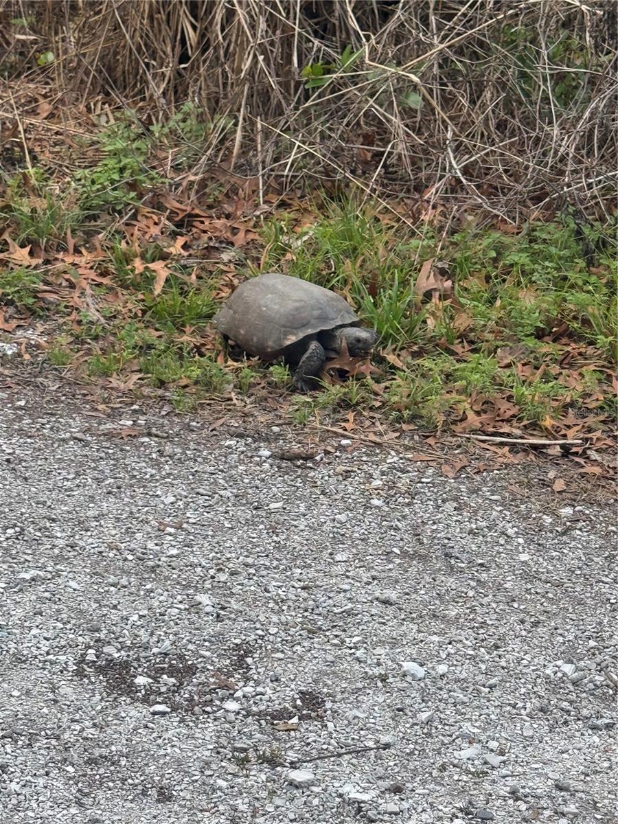 Image 62 of 68 For 1467 Watermill Circle