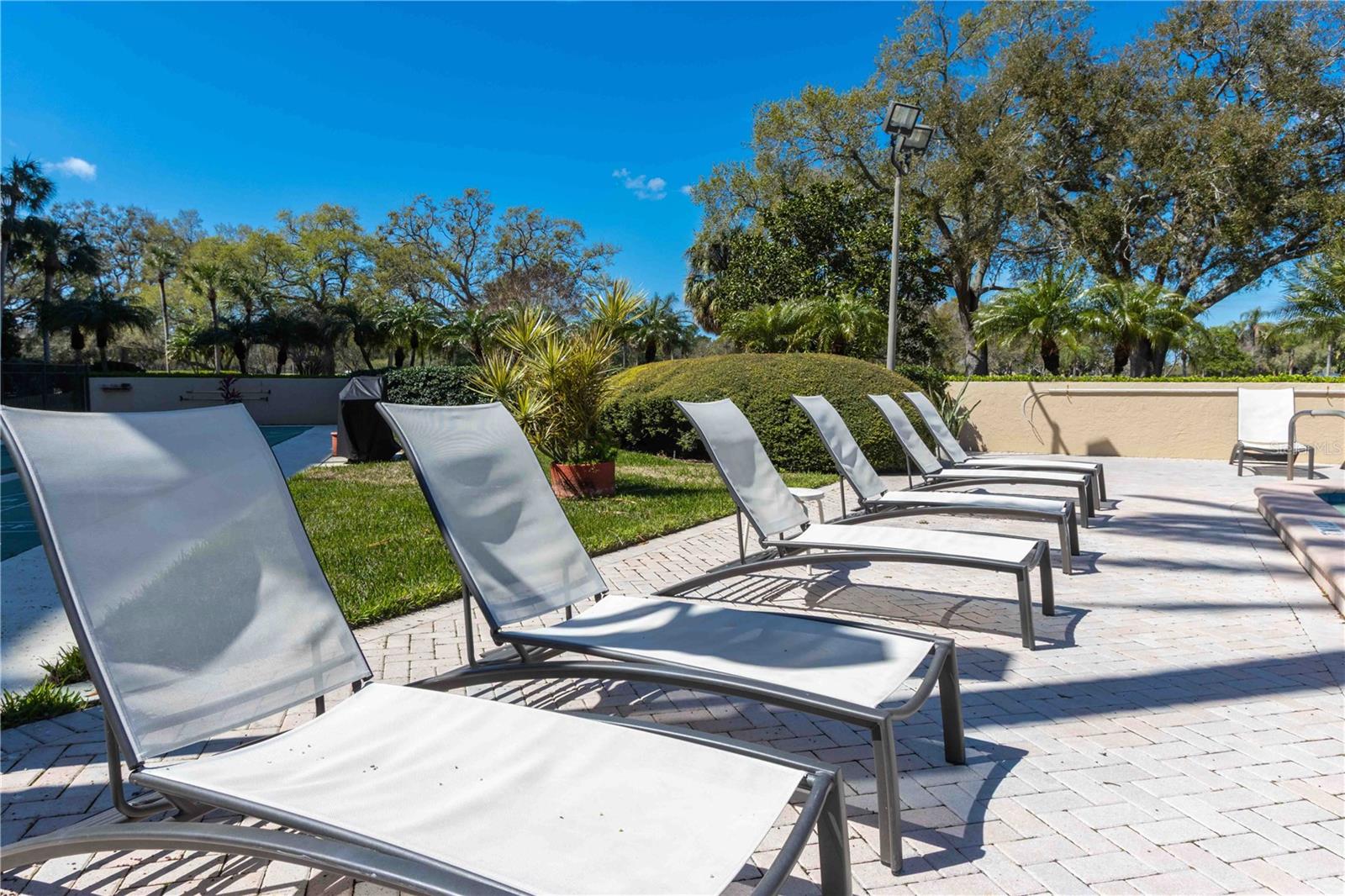 Image 40 of 100 For 2621 Cove Cay Drive 1003