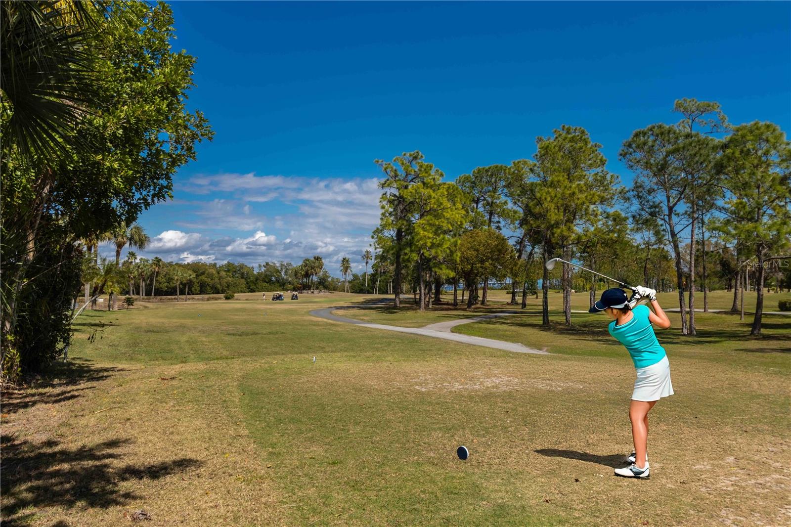 Image 62 of 100 For 2621 Cove Cay Drive 1003