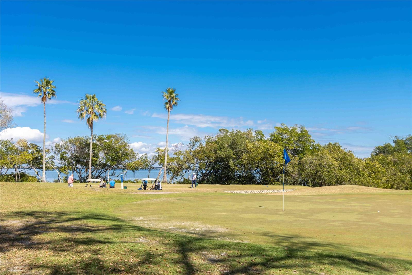 Image 63 of 100 For 2621 Cove Cay Drive 1003