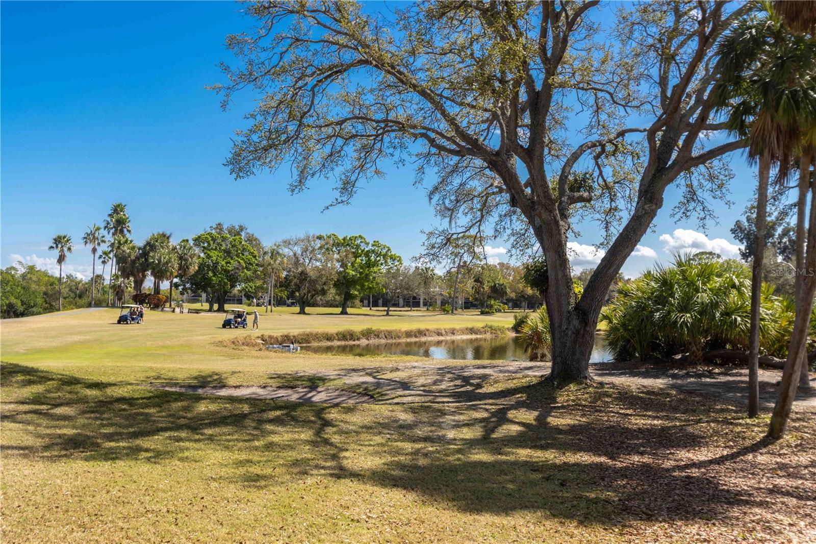 Image 64 of 100 For 2621 Cove Cay Drive 1003