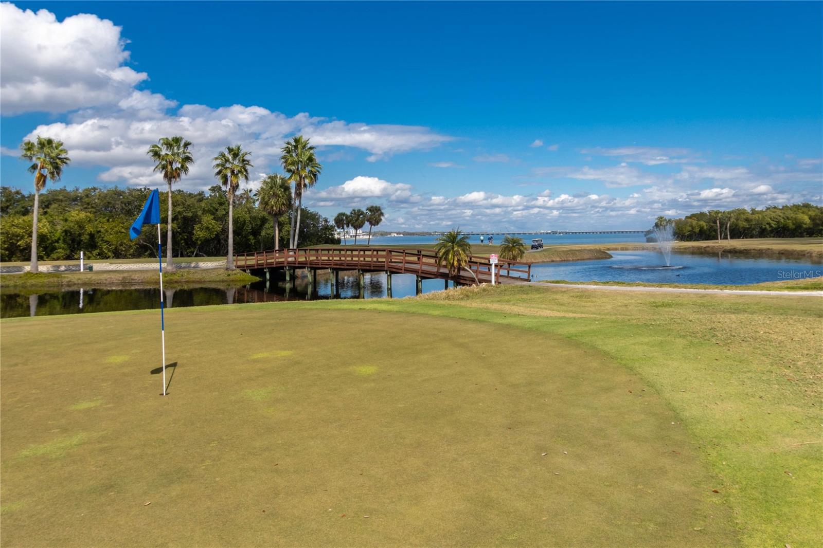 Image 66 of 100 For 2621 Cove Cay Drive 1003