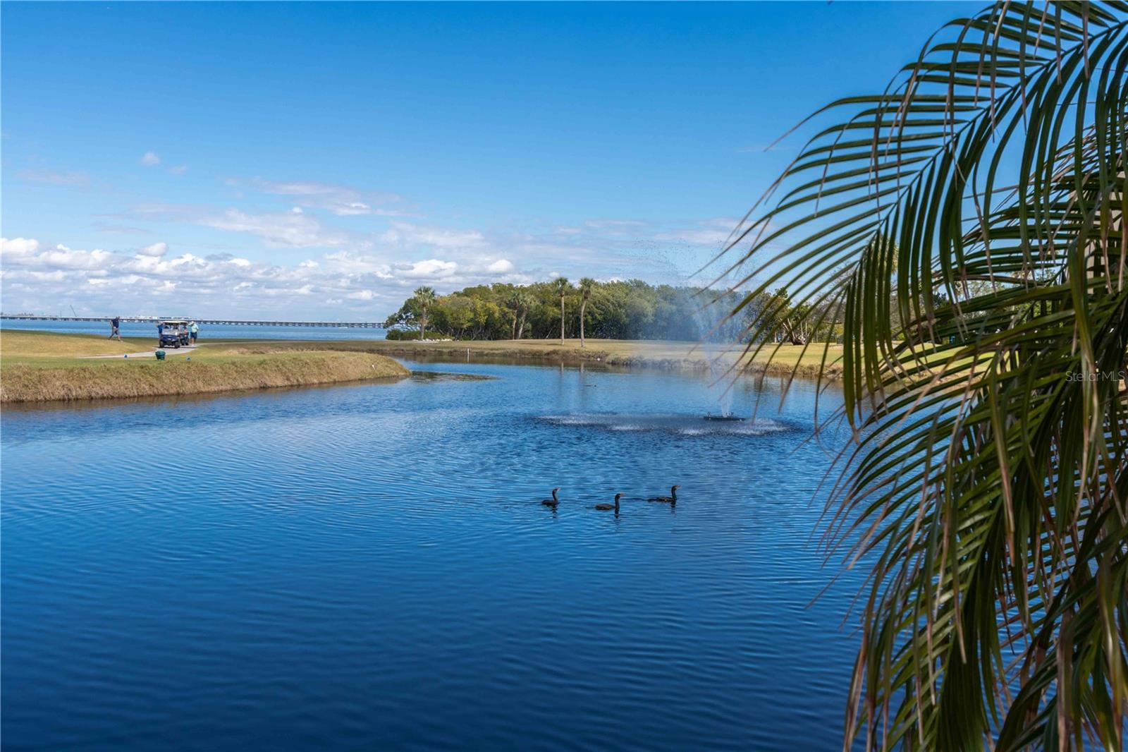 Image 67 of 100 For 2621 Cove Cay Drive 1003