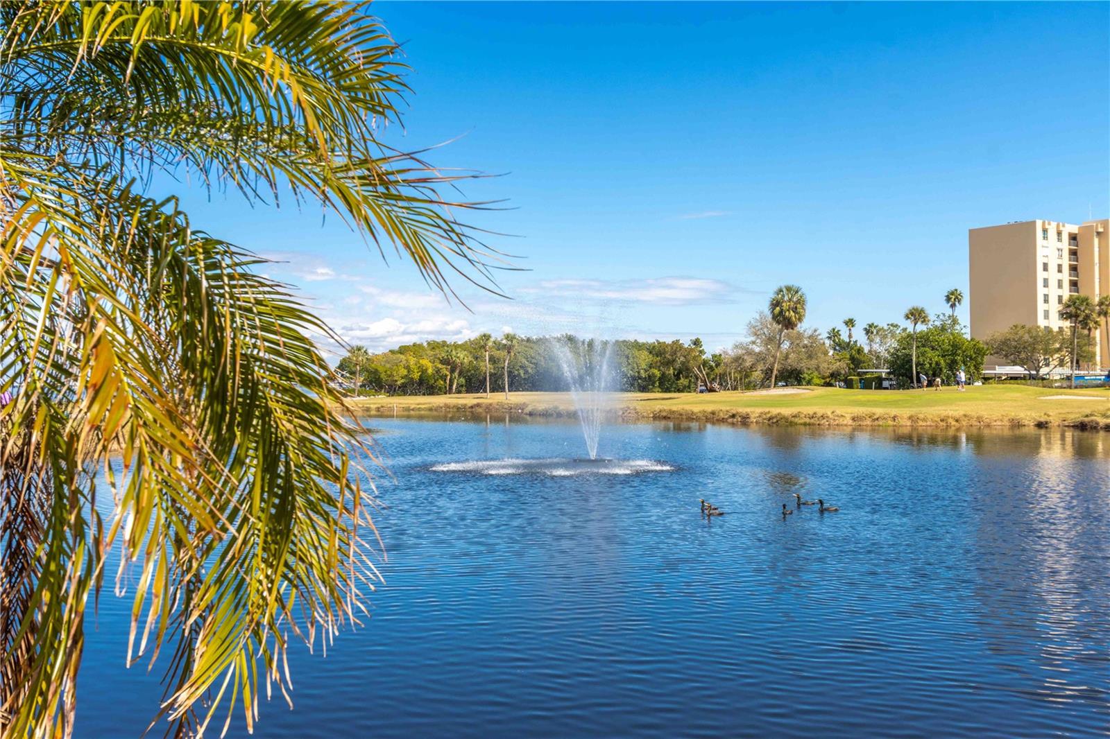 Image 72 of 100 For 2621 Cove Cay Drive 1003