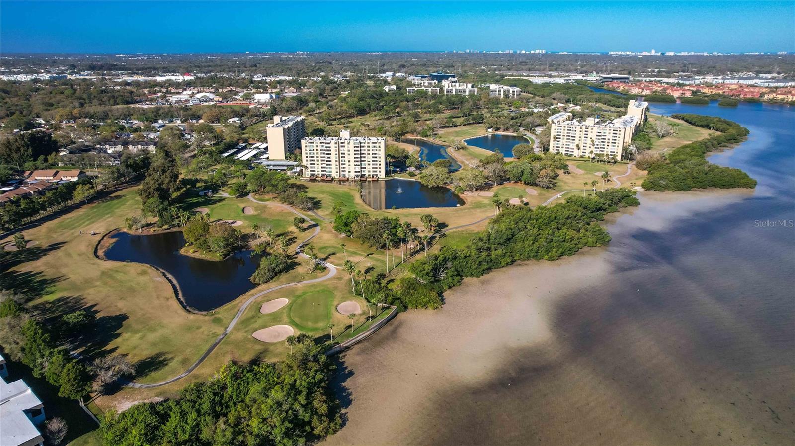 Image 89 of 100 For 2621 Cove Cay Drive 1003