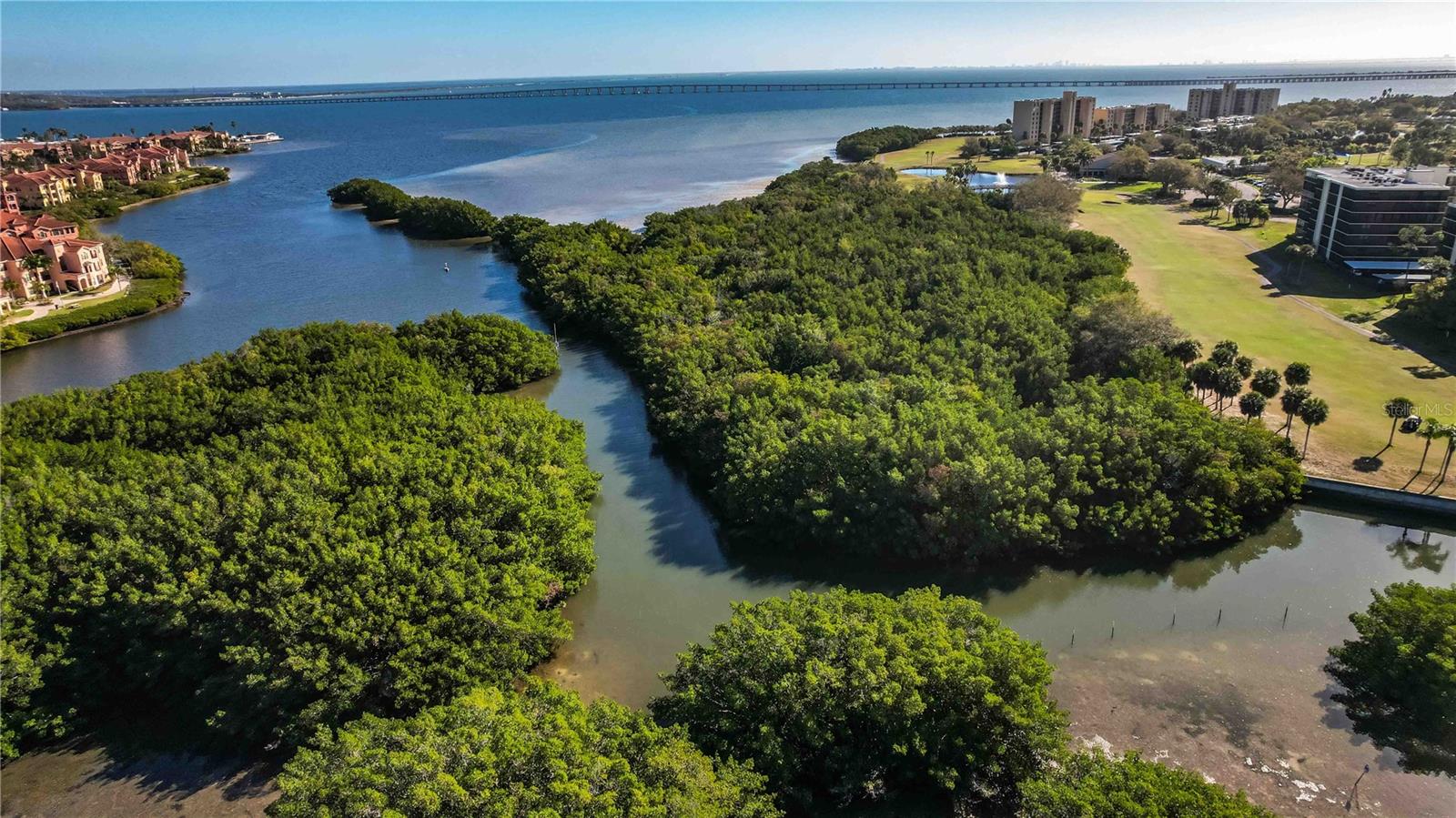 Image 97 of 100 For 2621 Cove Cay Drive 1003