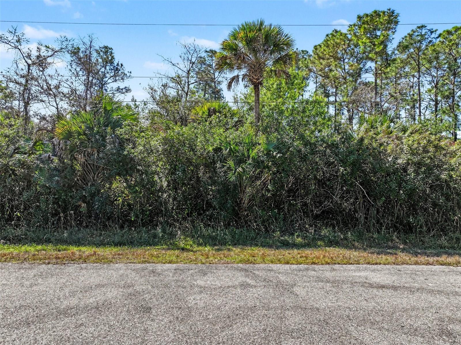 Image 5 of 10 For 0000 32nd Avenue Se