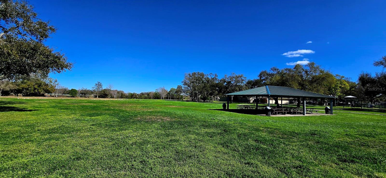 Image 43 of 59 For 8029 22nd Avenue N