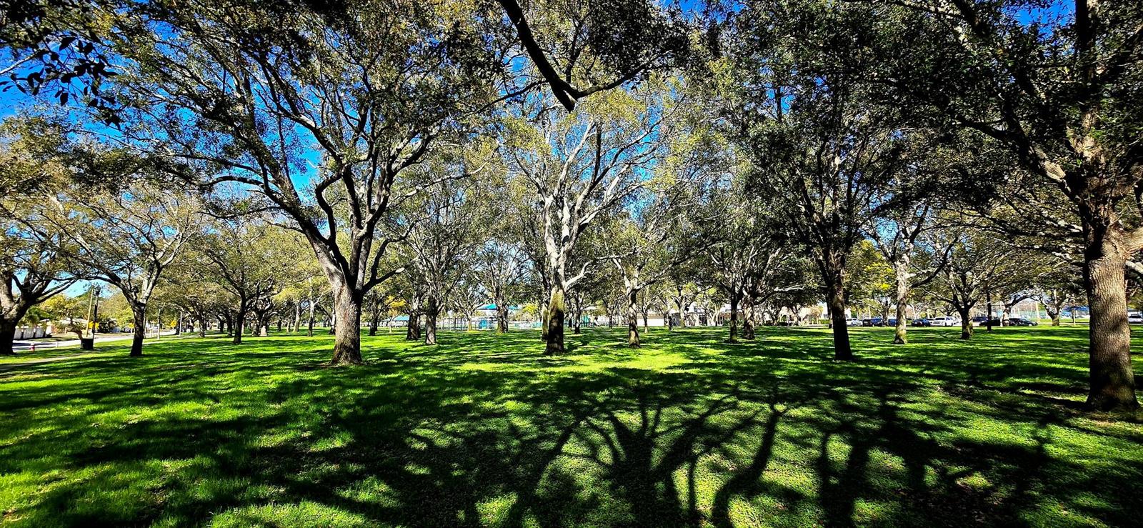 Image 44 of 59 For 8029 22nd Avenue N