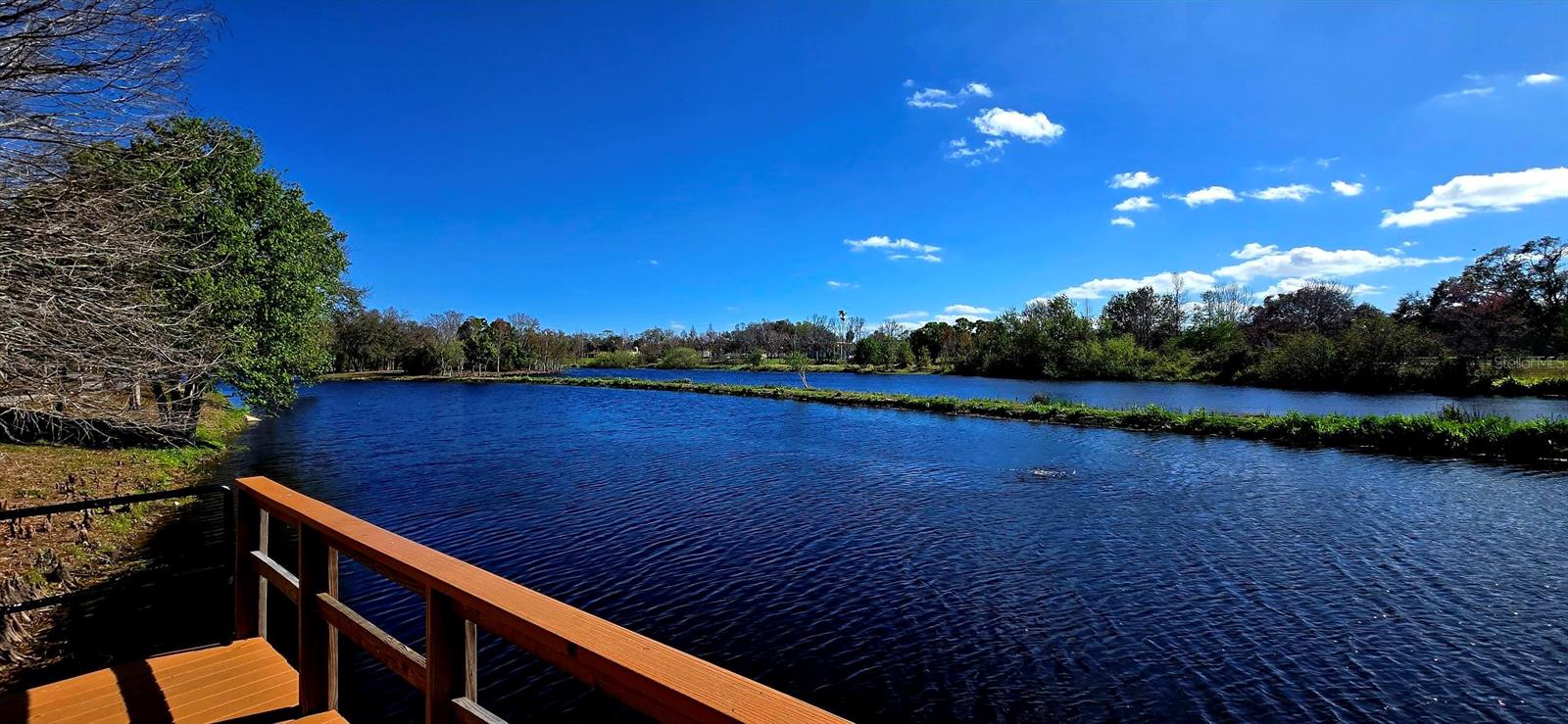 Image 46 of 59 For 8029 22nd Avenue N