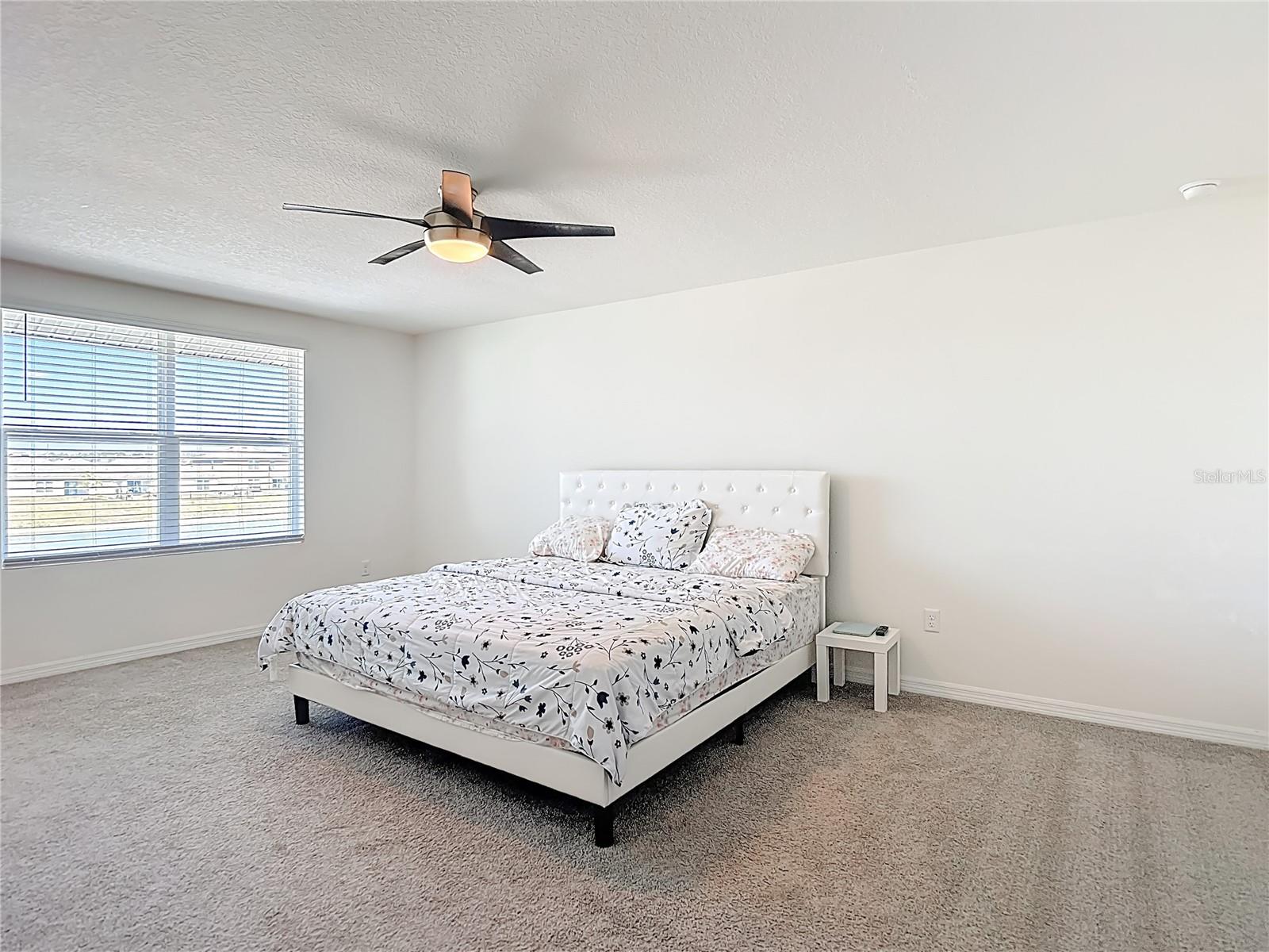 Image 31 of 45 For 35668 Doveland Drive