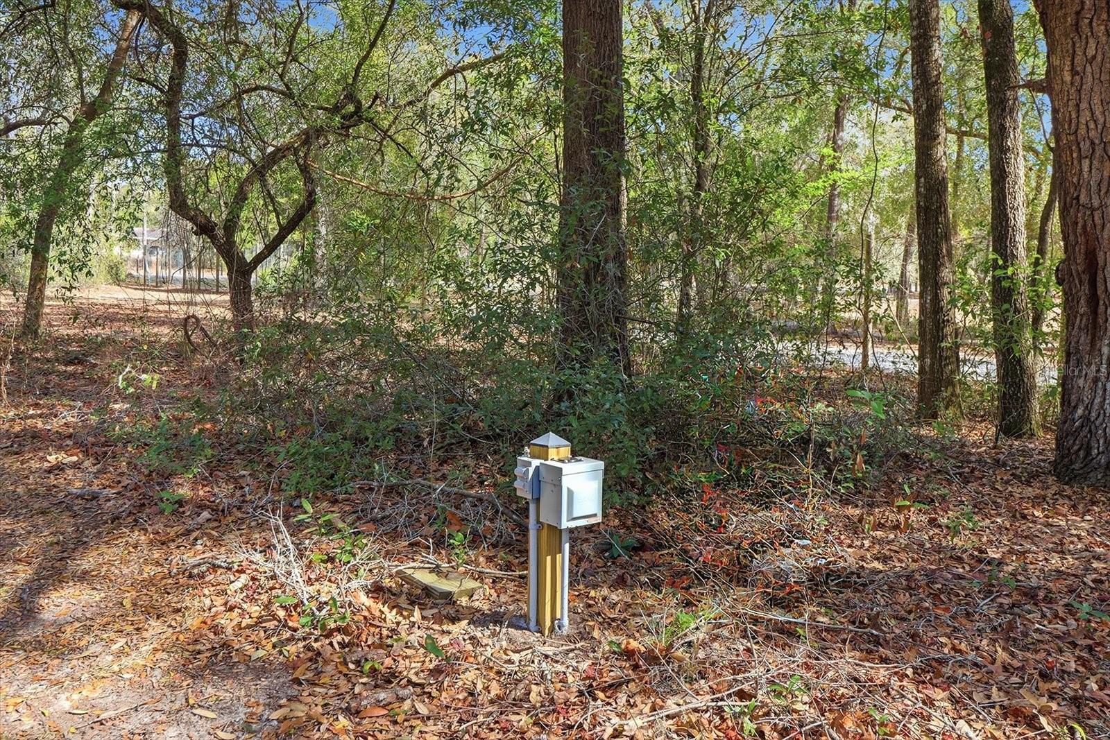 Image 39 of 45 For 2650 Harley Street