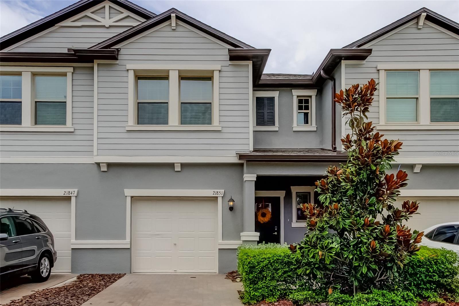 Details for 21851 Lyonia Lane, LAND O LAKES, FL 34637