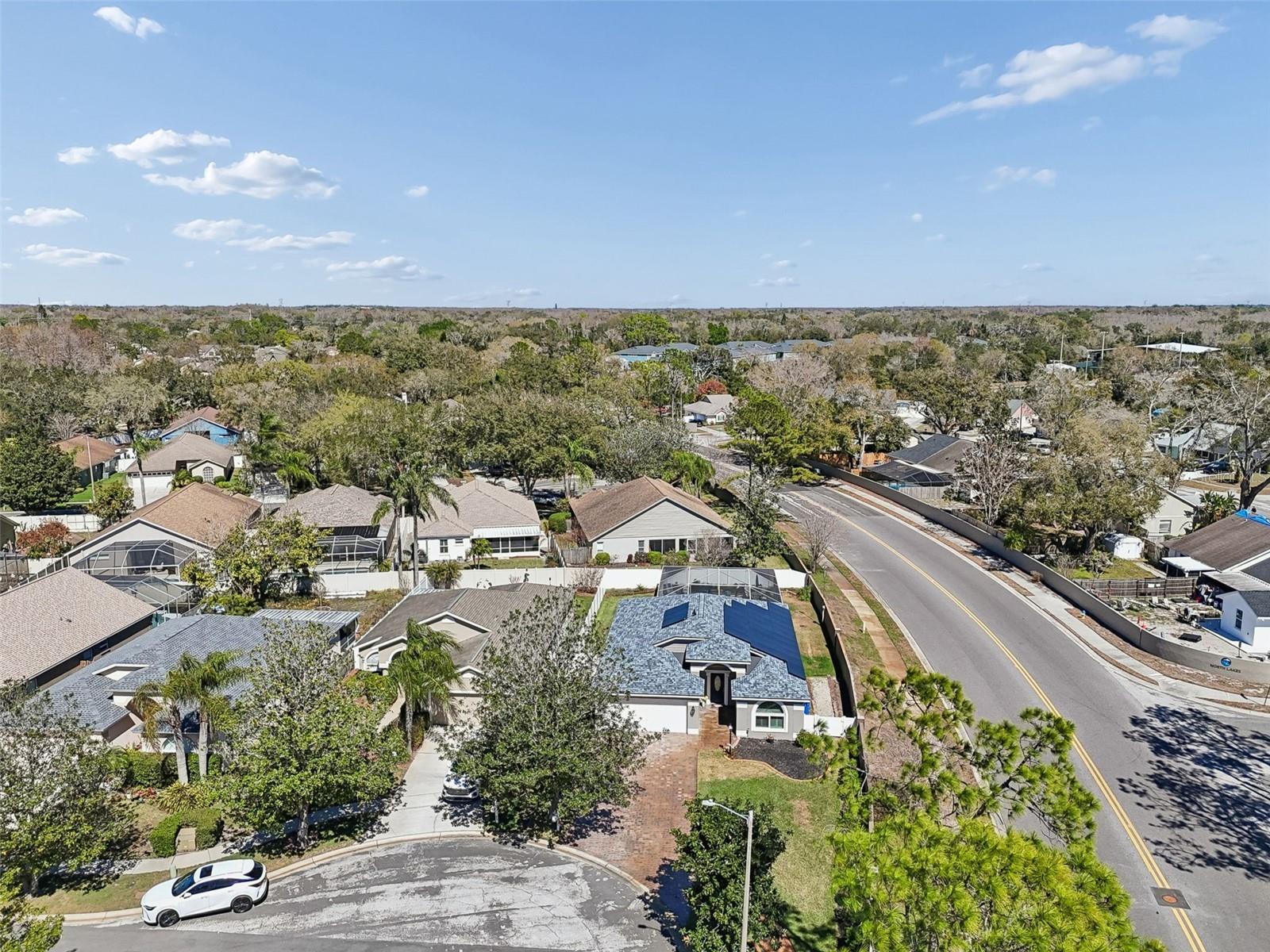 Listing photo id 49 for 3301 Black Gum Court