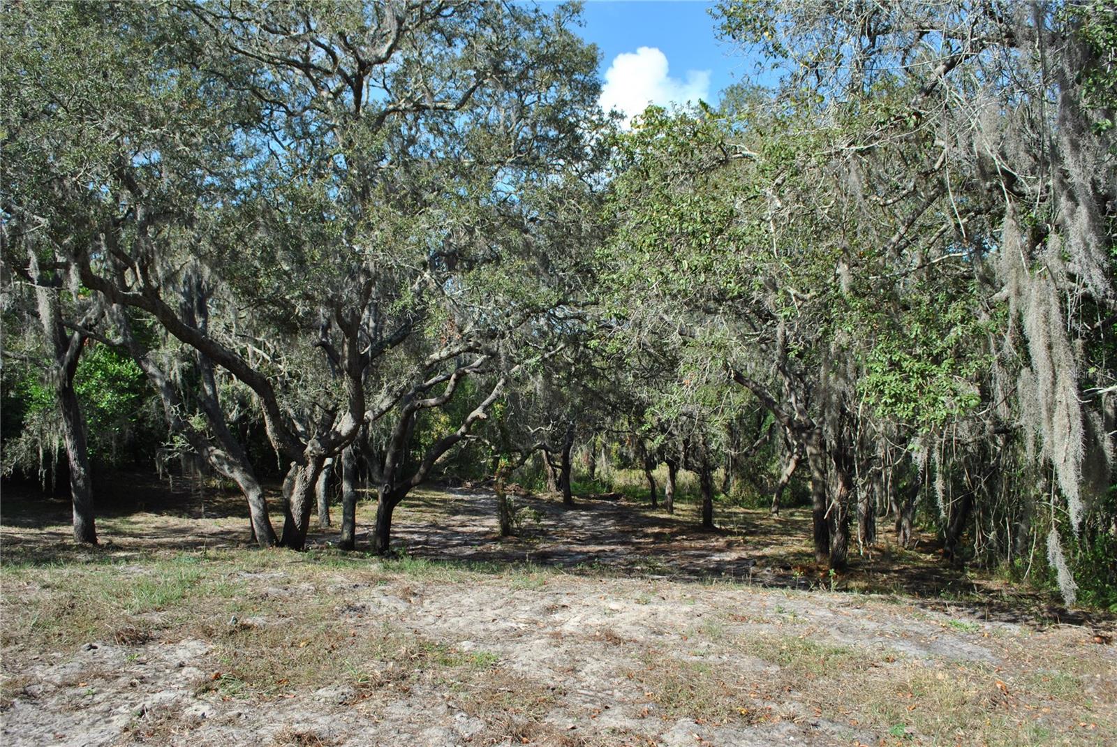 Image 29 of 37 For 2787 Keystone Road