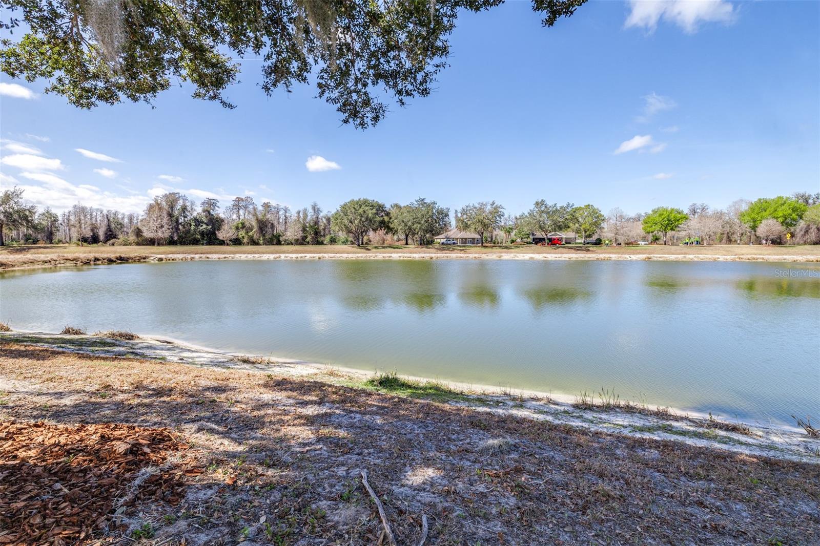 Image 42 of 55 For 12323 Southbridge Terrace