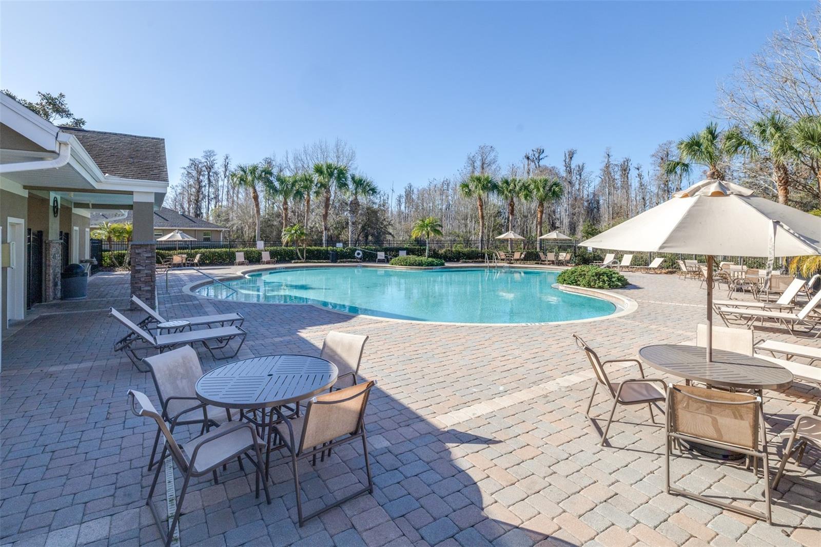 Image 54 of 55 For 12323 Southbridge Terrace