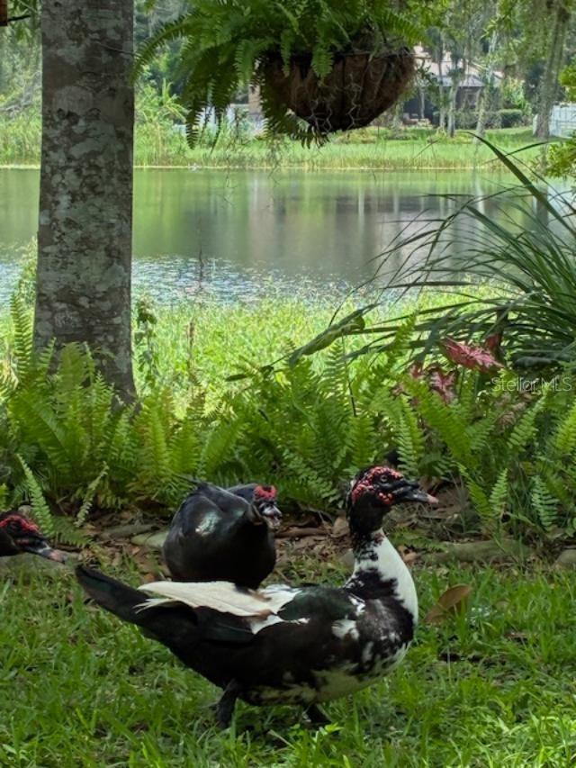 Image 43 of 46 For 4850 Walnut Ridge Road