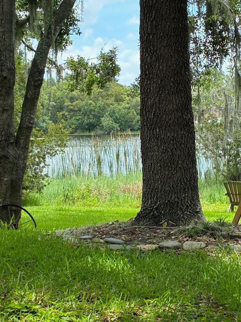 Image 44 of 46 For 4850 Walnut Ridge Road