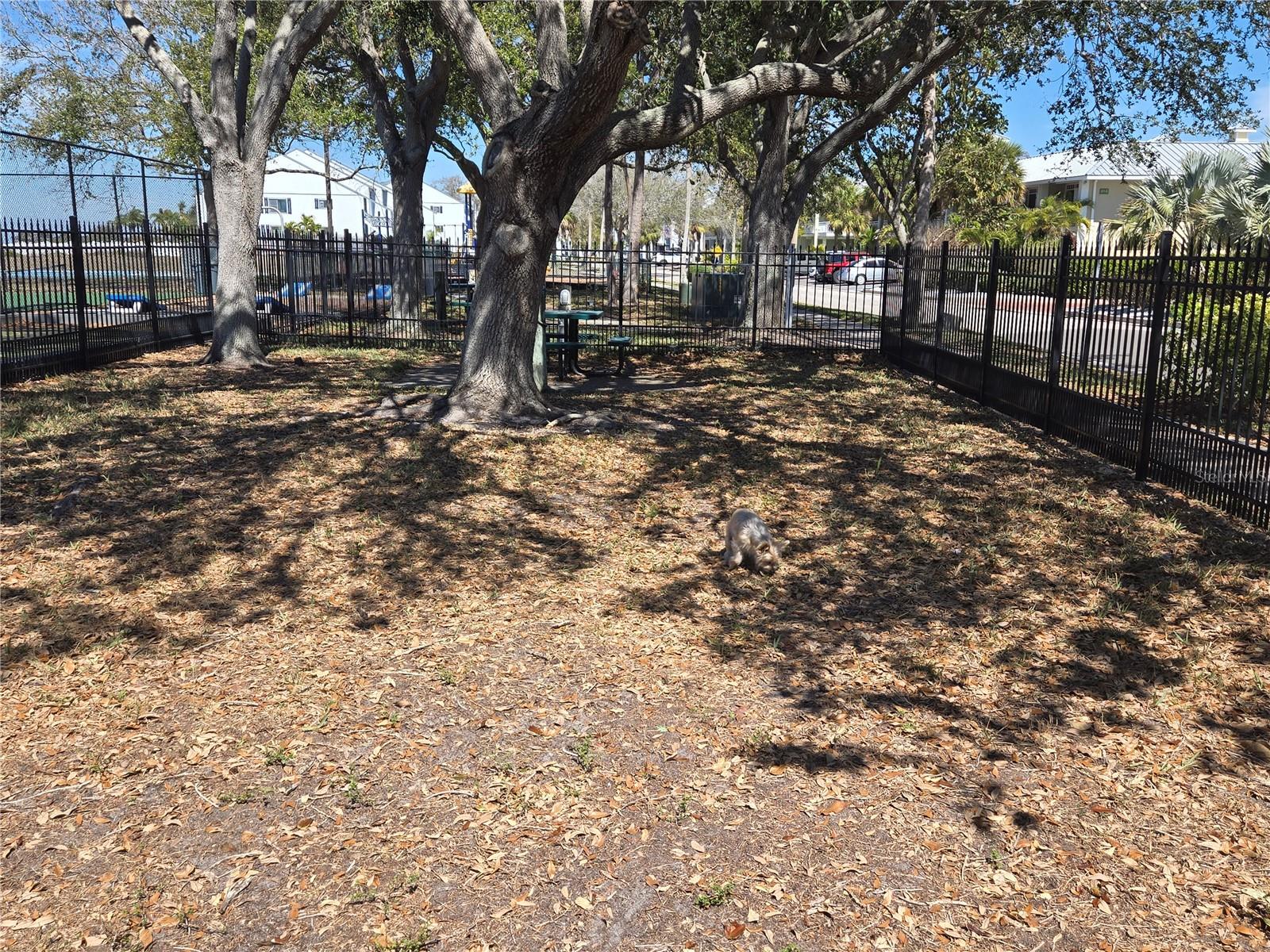 Image 17 of 20 For 611 Destiny Drive 101