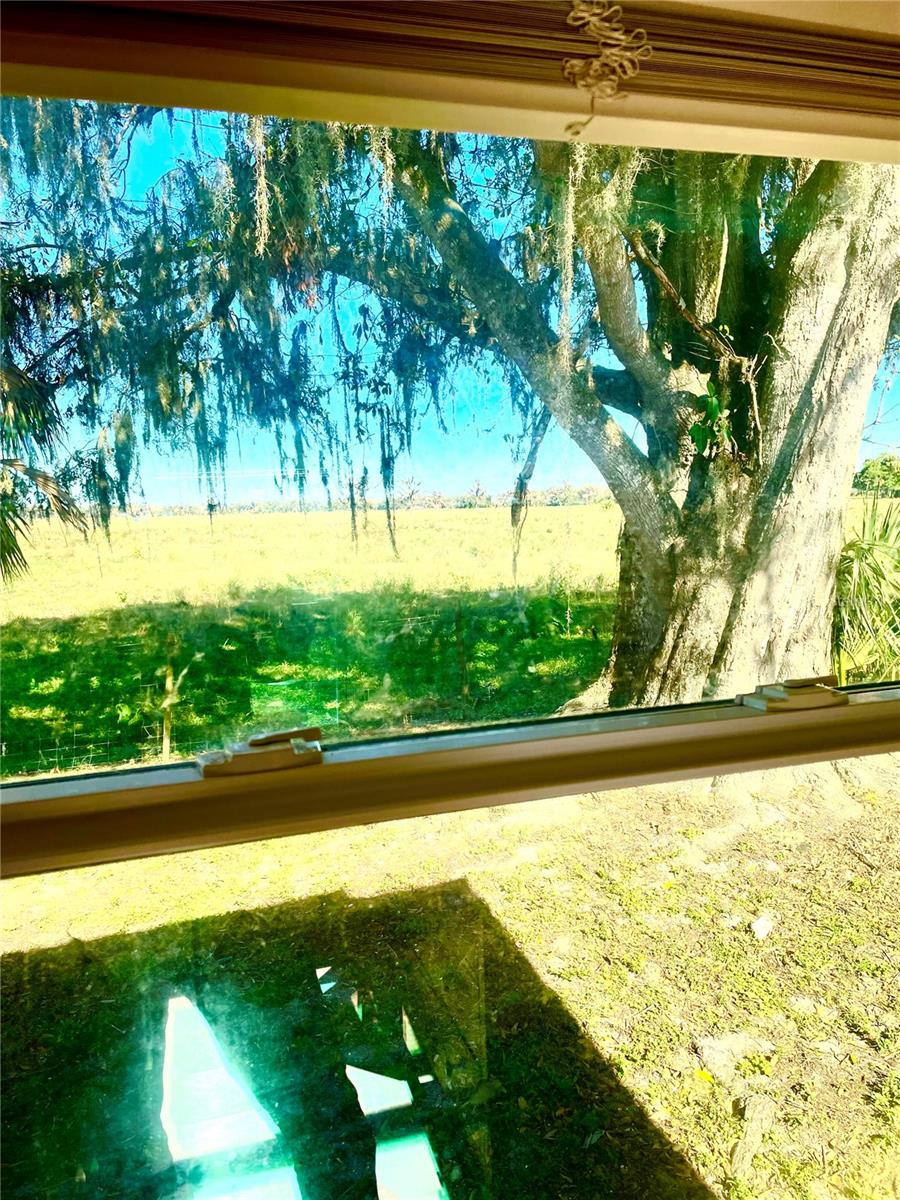 Image 8 of 18 For 6275 - A Us Highway 441 Se