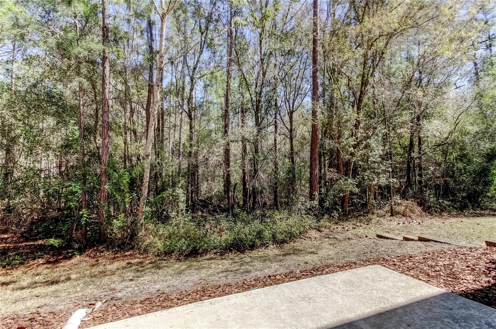 Listing photo id 34 for 12660 Silverdale Street