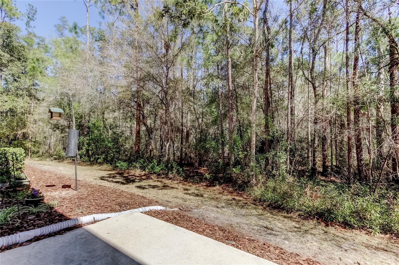 Listing photo id 35 for 12660 Silverdale Street