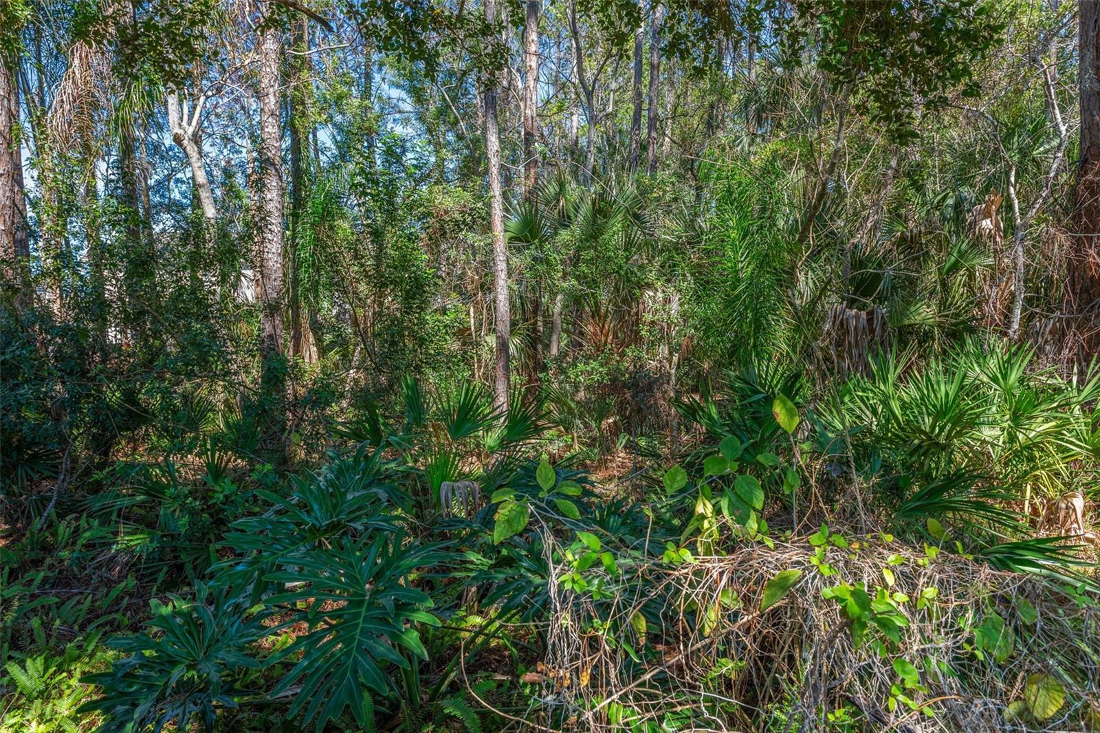 Image 49 of 50 For 9739 Fredericksburg Road