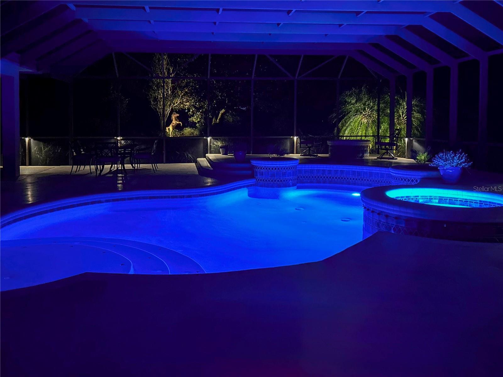 Image 75 of 89 For 33627 Americana Avenue