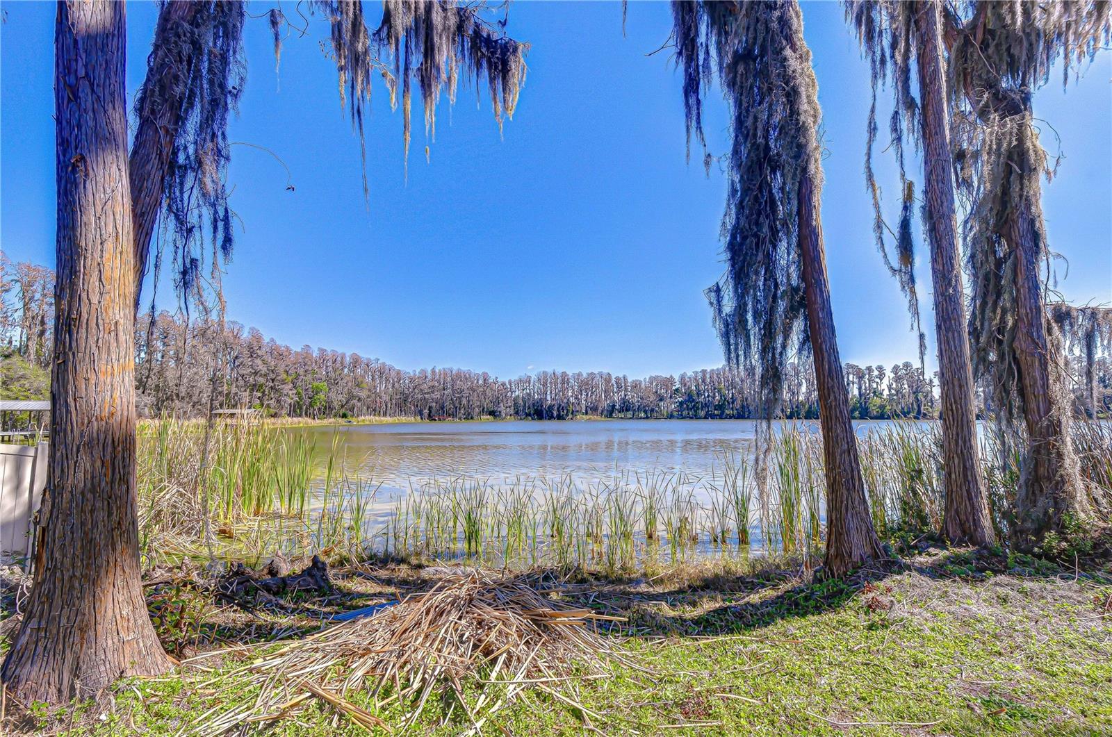 Details for 6608 Wisteria Loop, LAND O LAKES, FL 34638