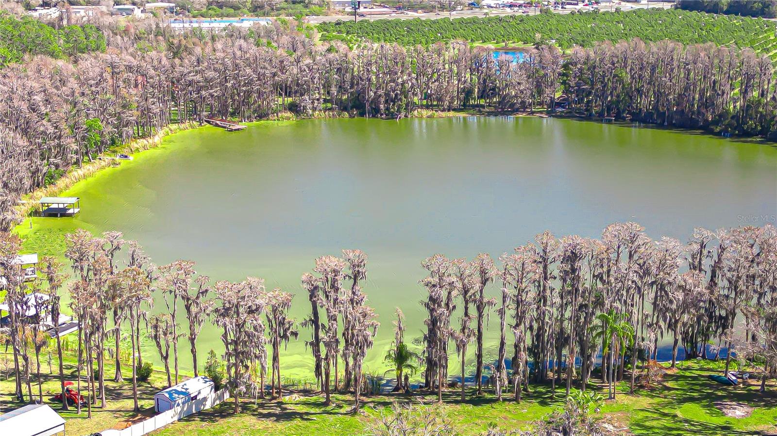 Listing photo id 14 for 6608 Wisteria Loop