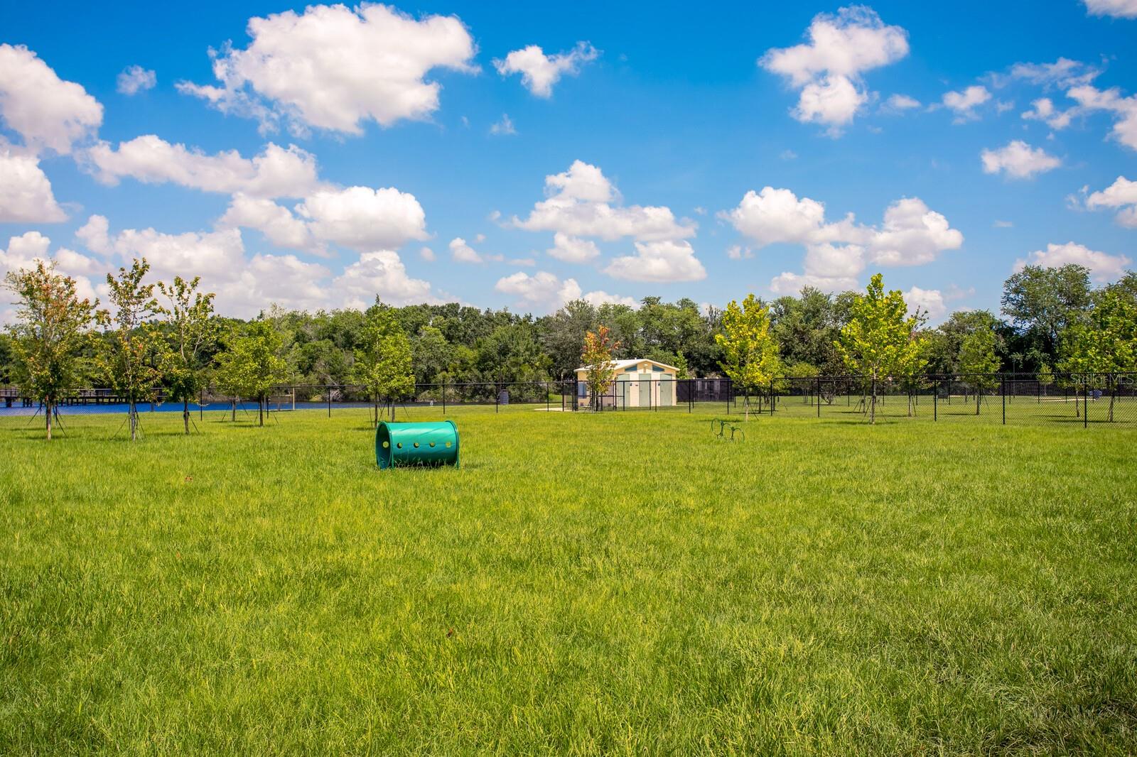 Image 47 of 56 For 13016 Sanctuary Village Lane