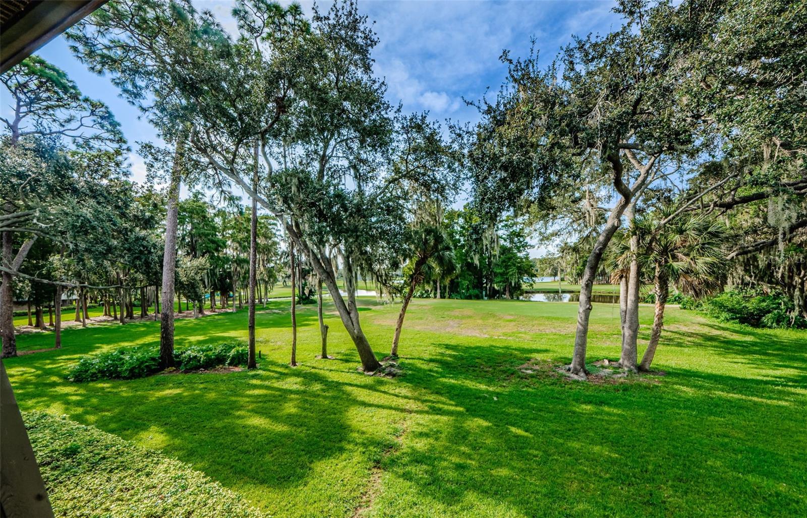 Image 2 of 99 For 36750 Us Highway 19 N 2177