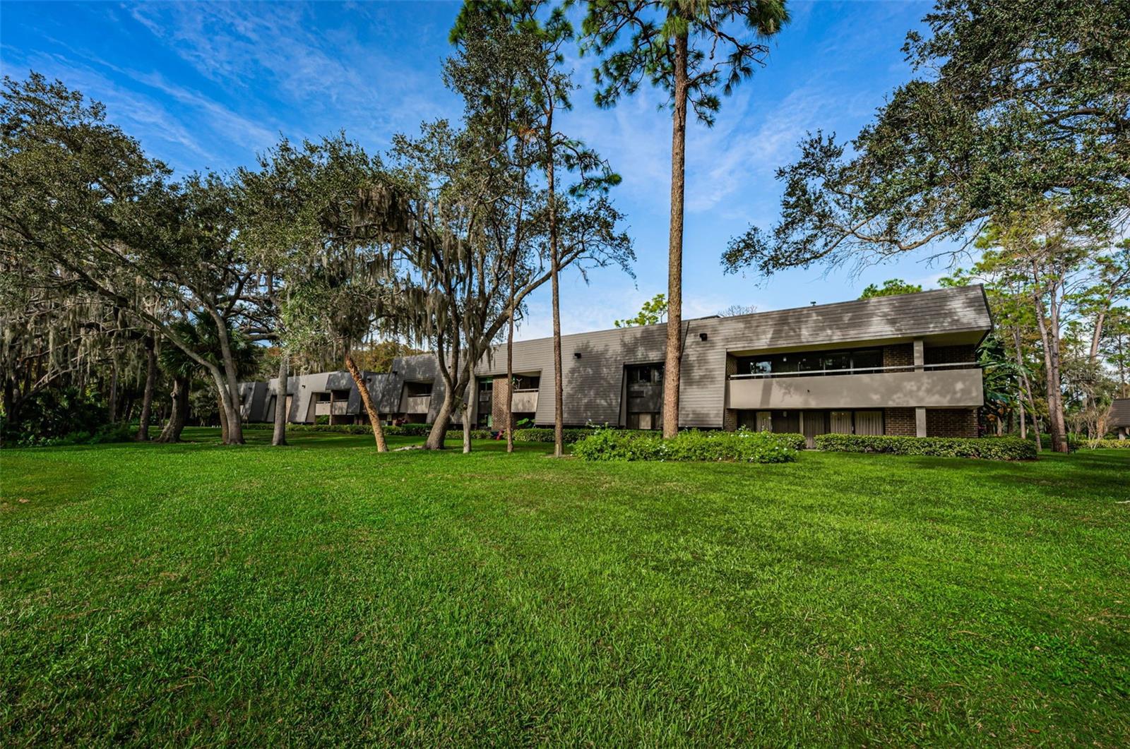 Image 52 of 99 For 36750 Us Highway 19 N 2177