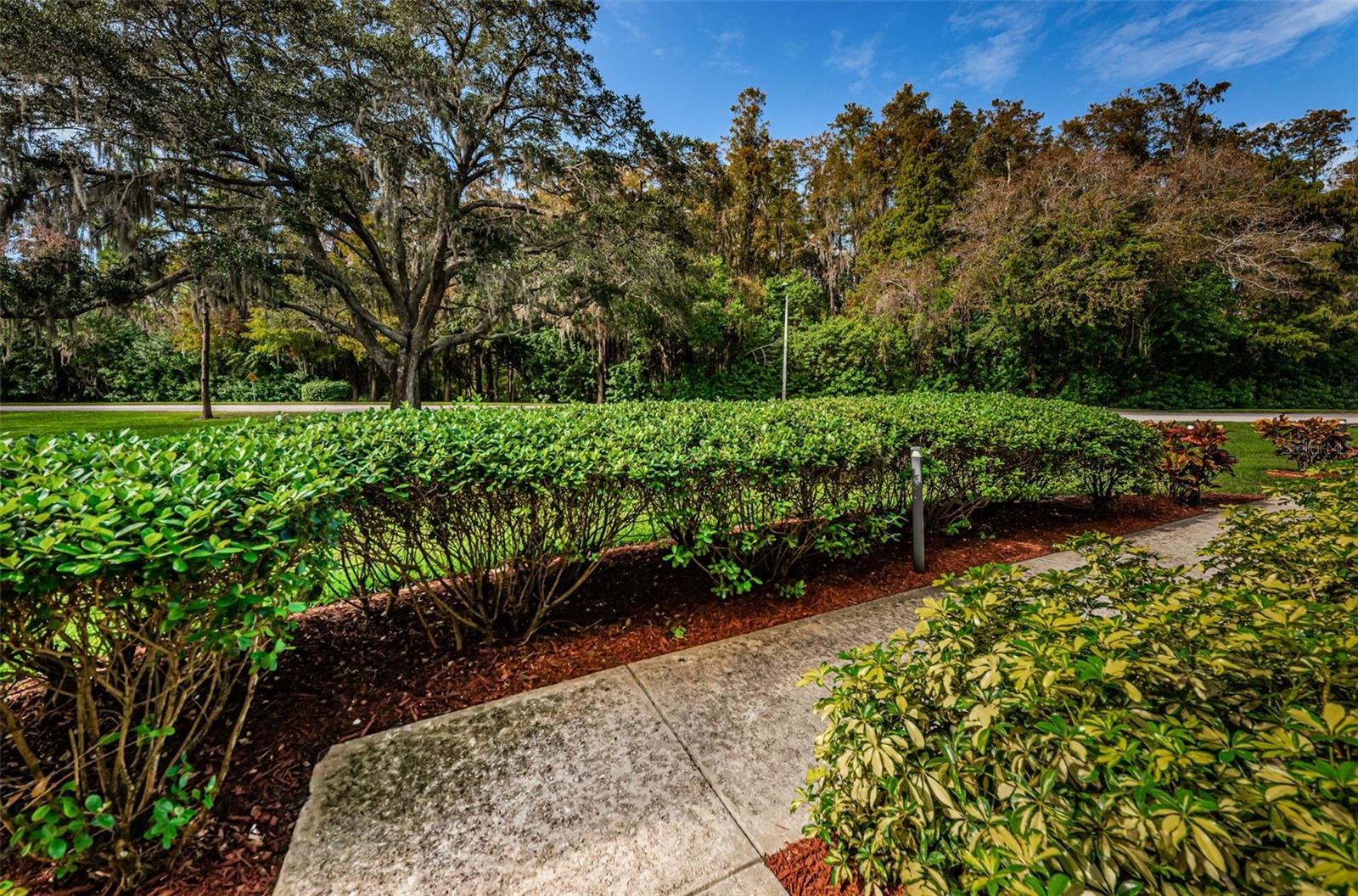 Image 54 of 99 For 36750 Us Highway 19 N 2177