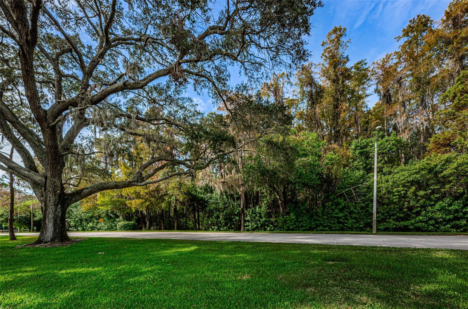 Image 55 of 99 For 36750 Us Highway 19 N 2177