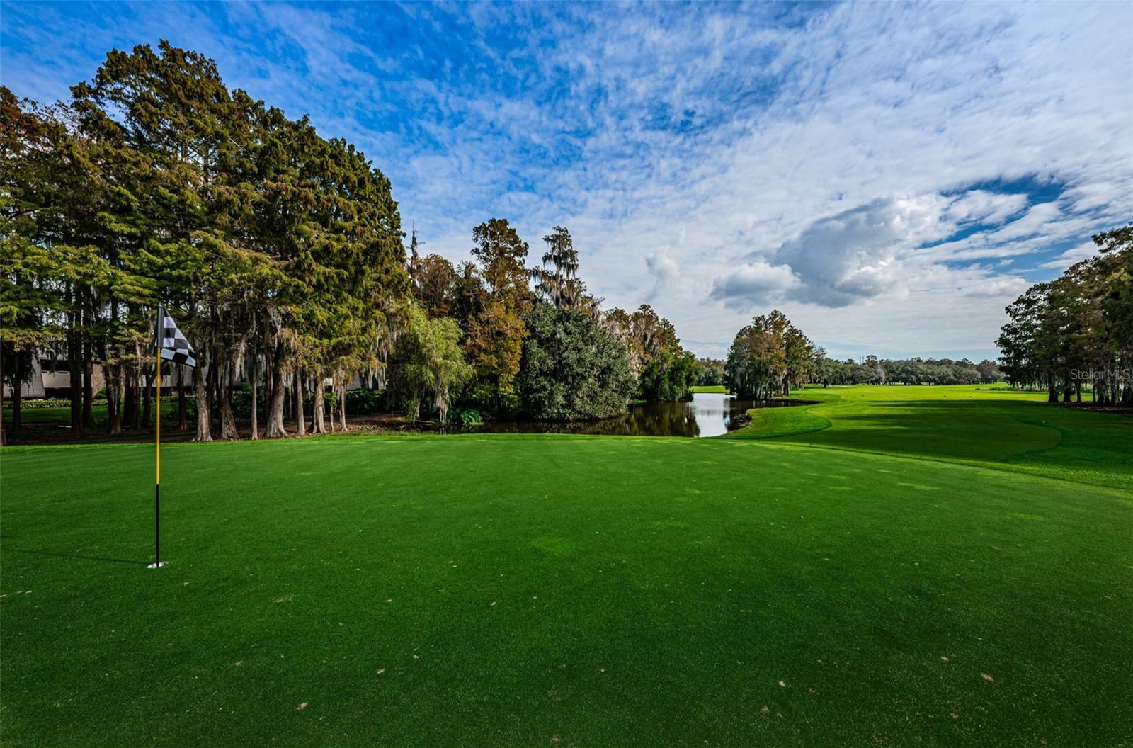 Image 67 of 99 For 36750 Us Highway 19 N 2177