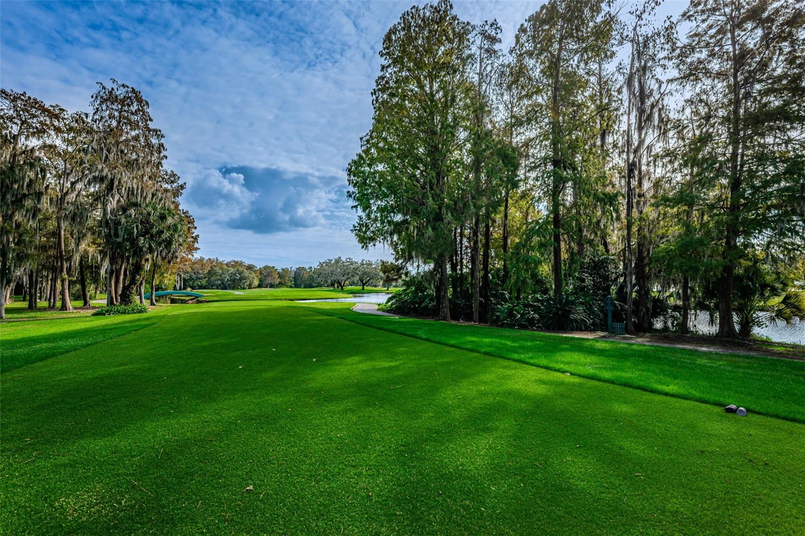 Image 69 of 99 For 36750 Us Highway 19 N 2177