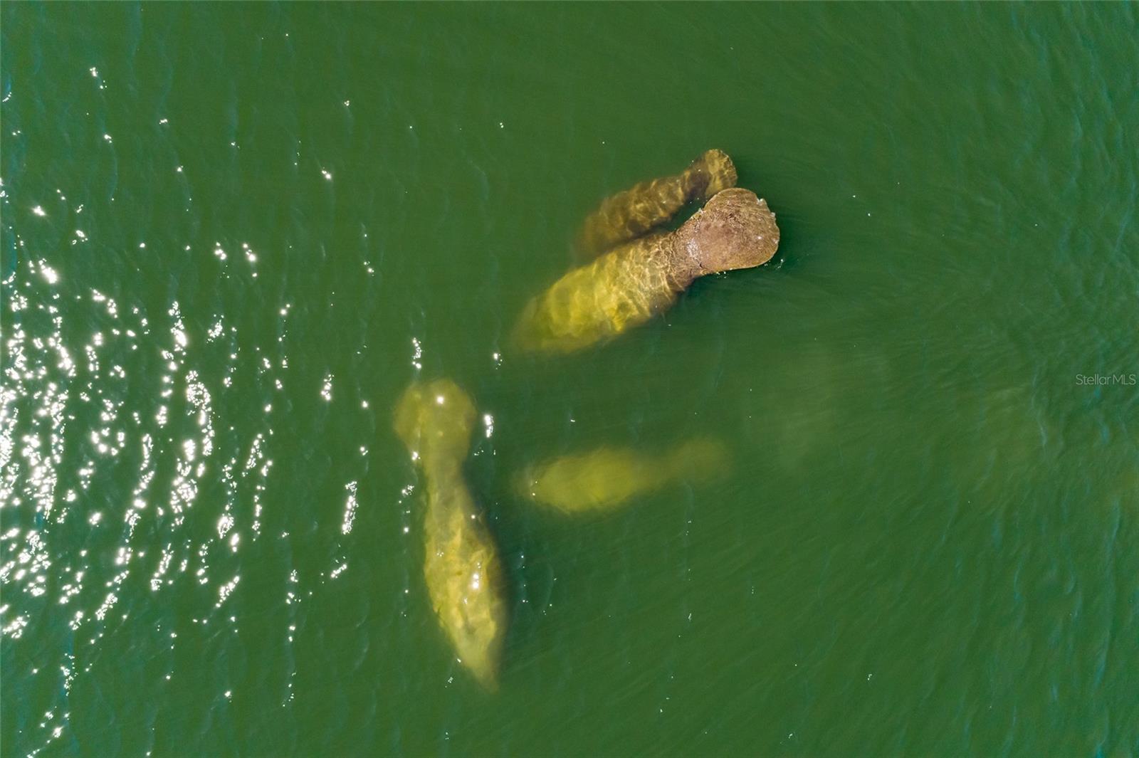 Listing photo id 3 for 1985 Michigan Avenue Ne